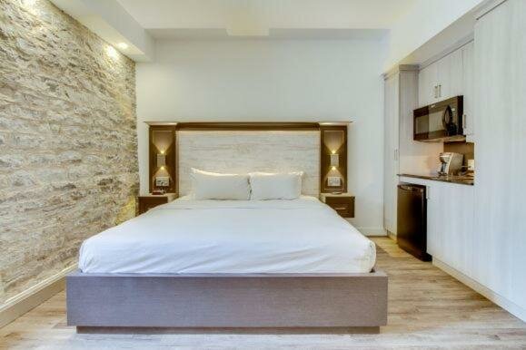 Deluxe room / Kitchenette / Artificial green wall view / Animals Permitted ($)