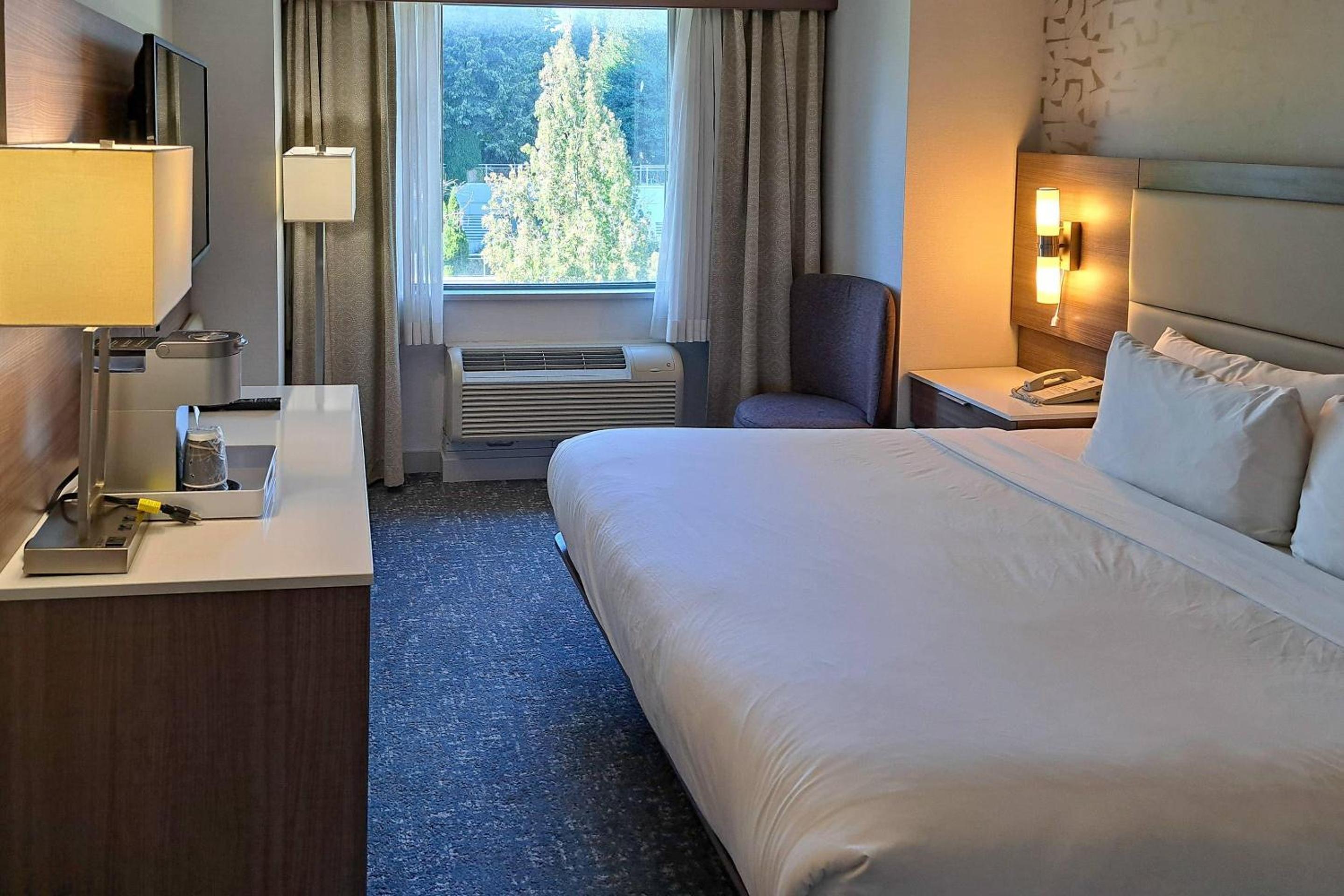 King Room - Non-Smoking