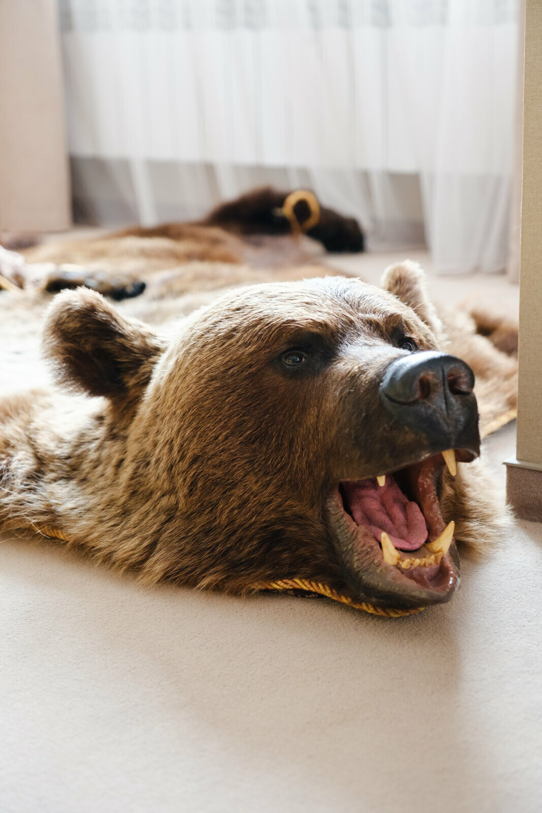 Джуниор сюит  "Охотничий" 4-й этаж (403)