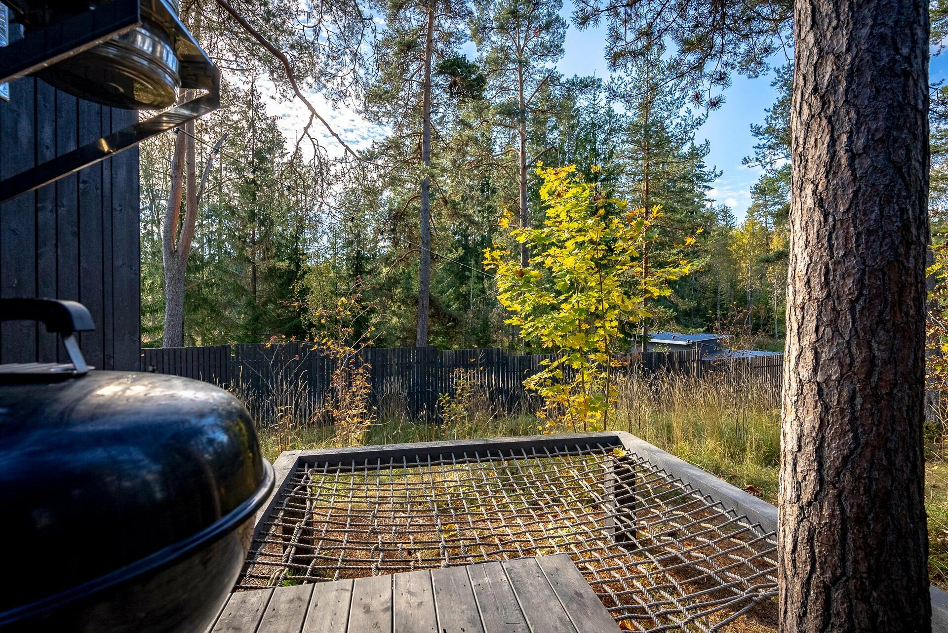 Дом с видом на лес