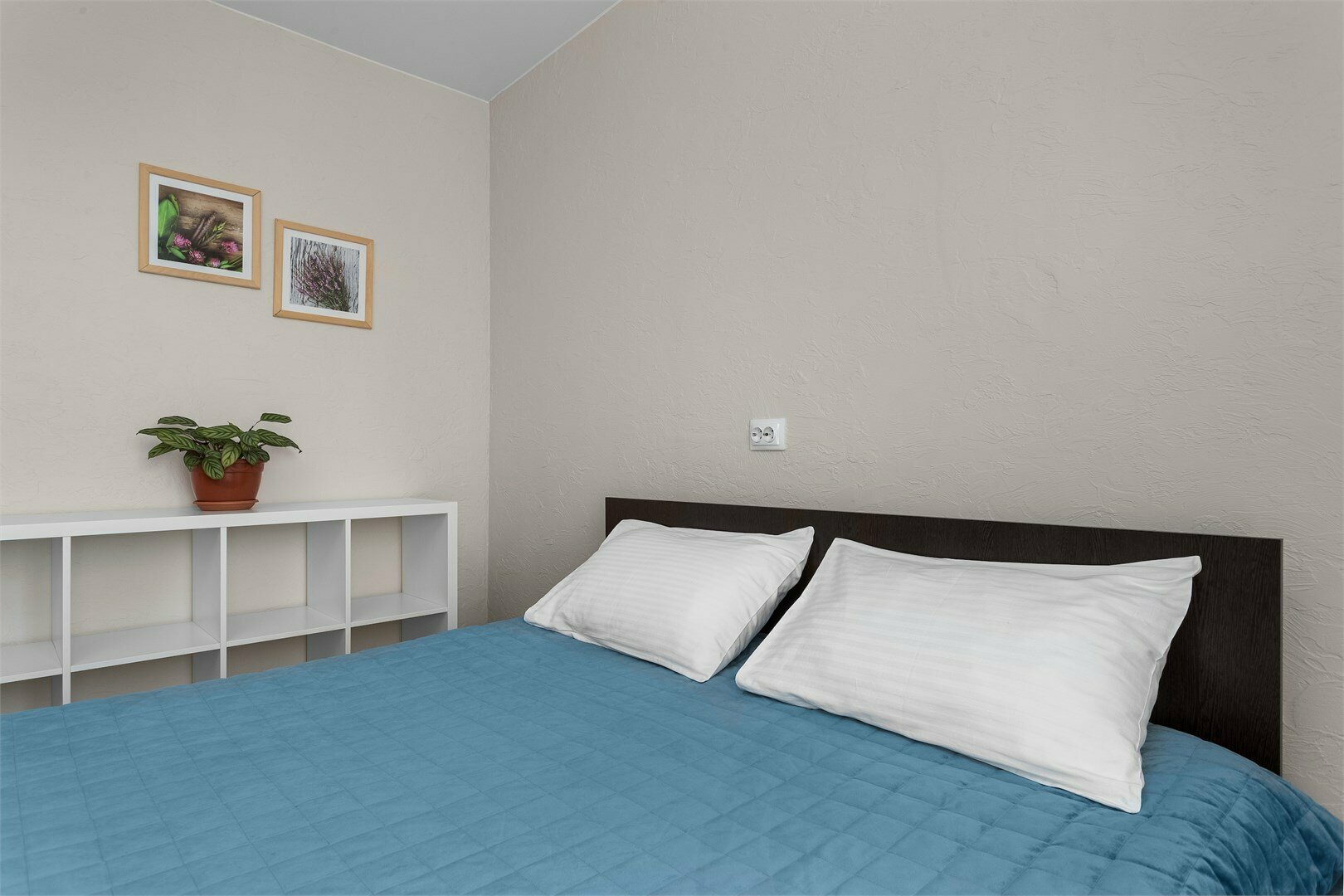 Двухкомнатная студия