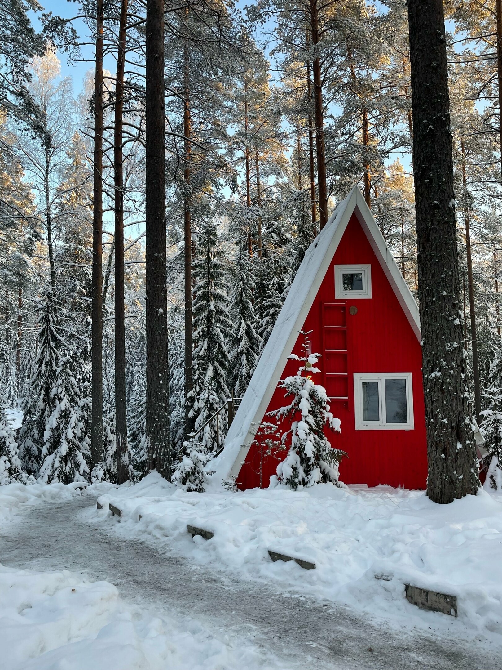 Коттедж 4 (+2)