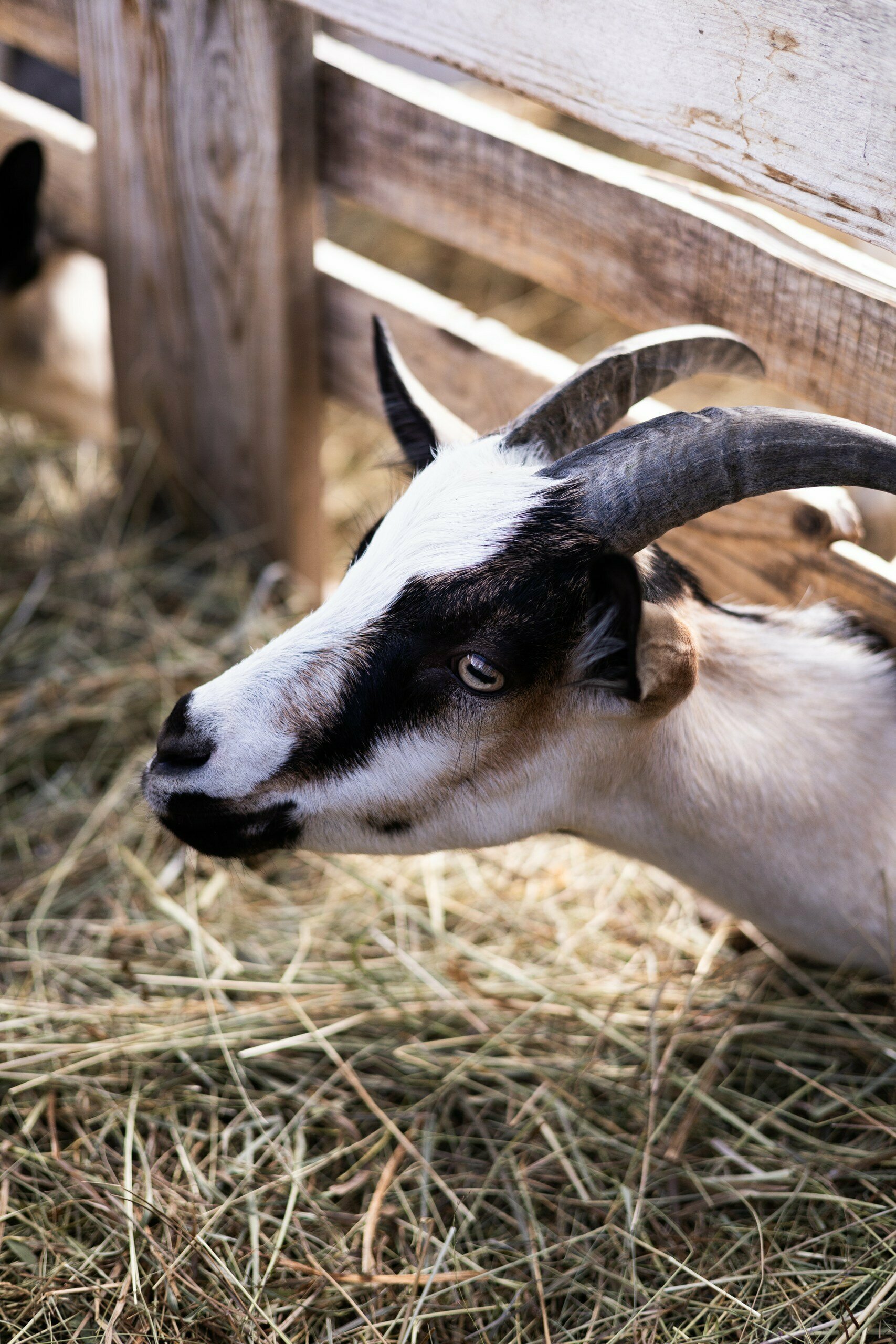 Дом для семейного отдыха