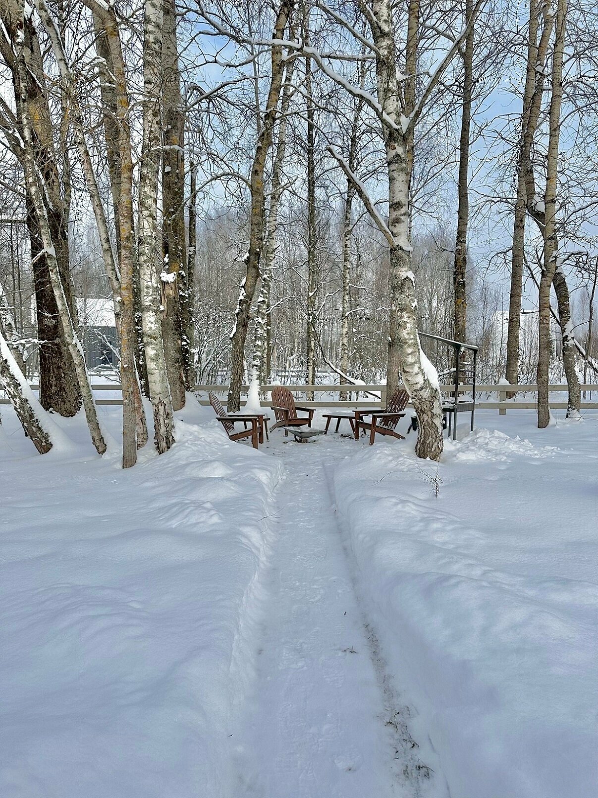 Коттедж с видом на лес