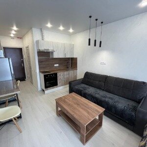 Однокомнатные апартаменты (1 двуспальная кровать)