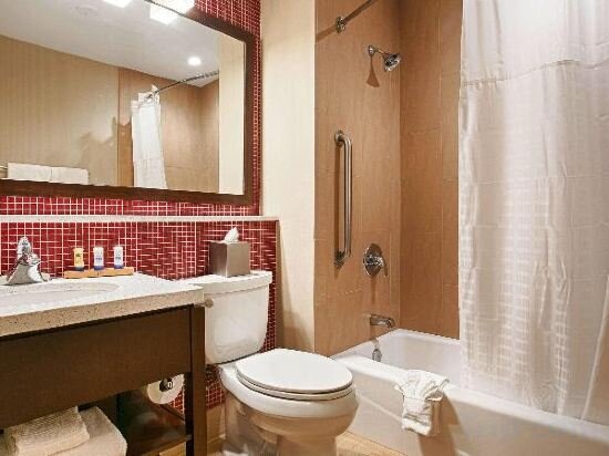 Accessible-1 Queen, Mobility Accessible, Roll in Shower, Non-Smoking