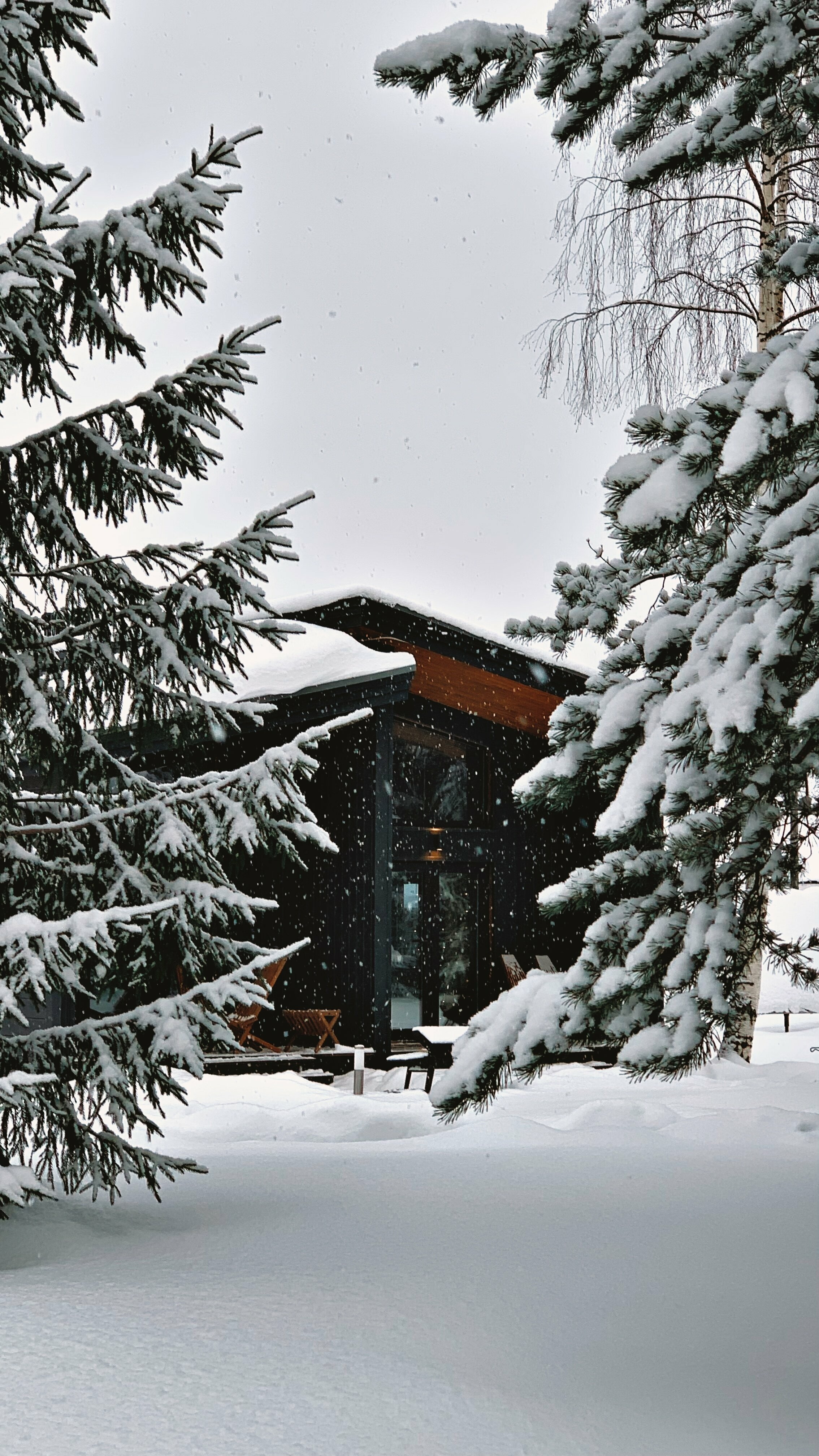 Дом с видом на лес