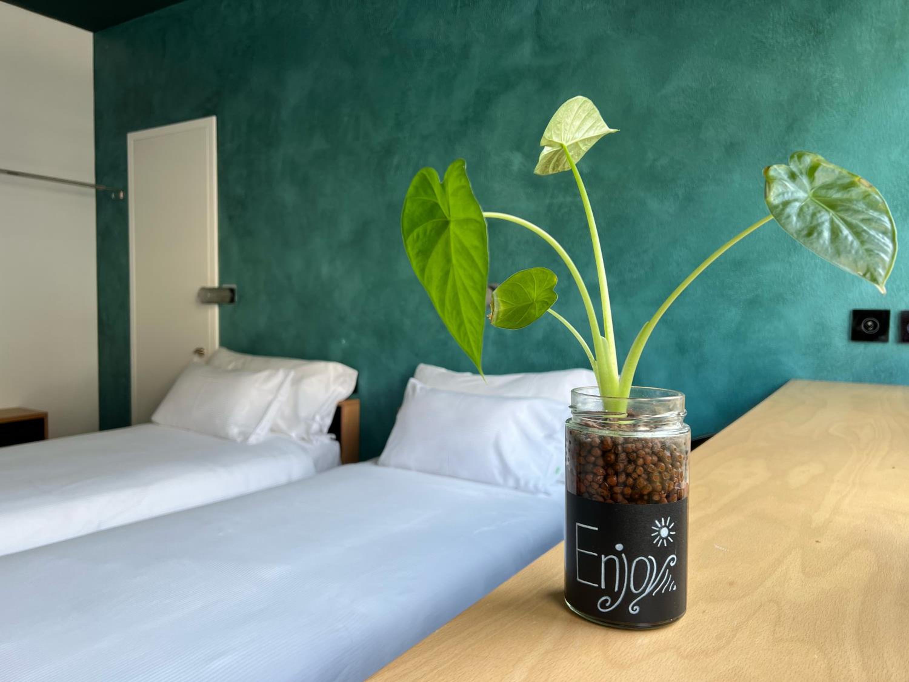 Double or Twin Room with Mountain View