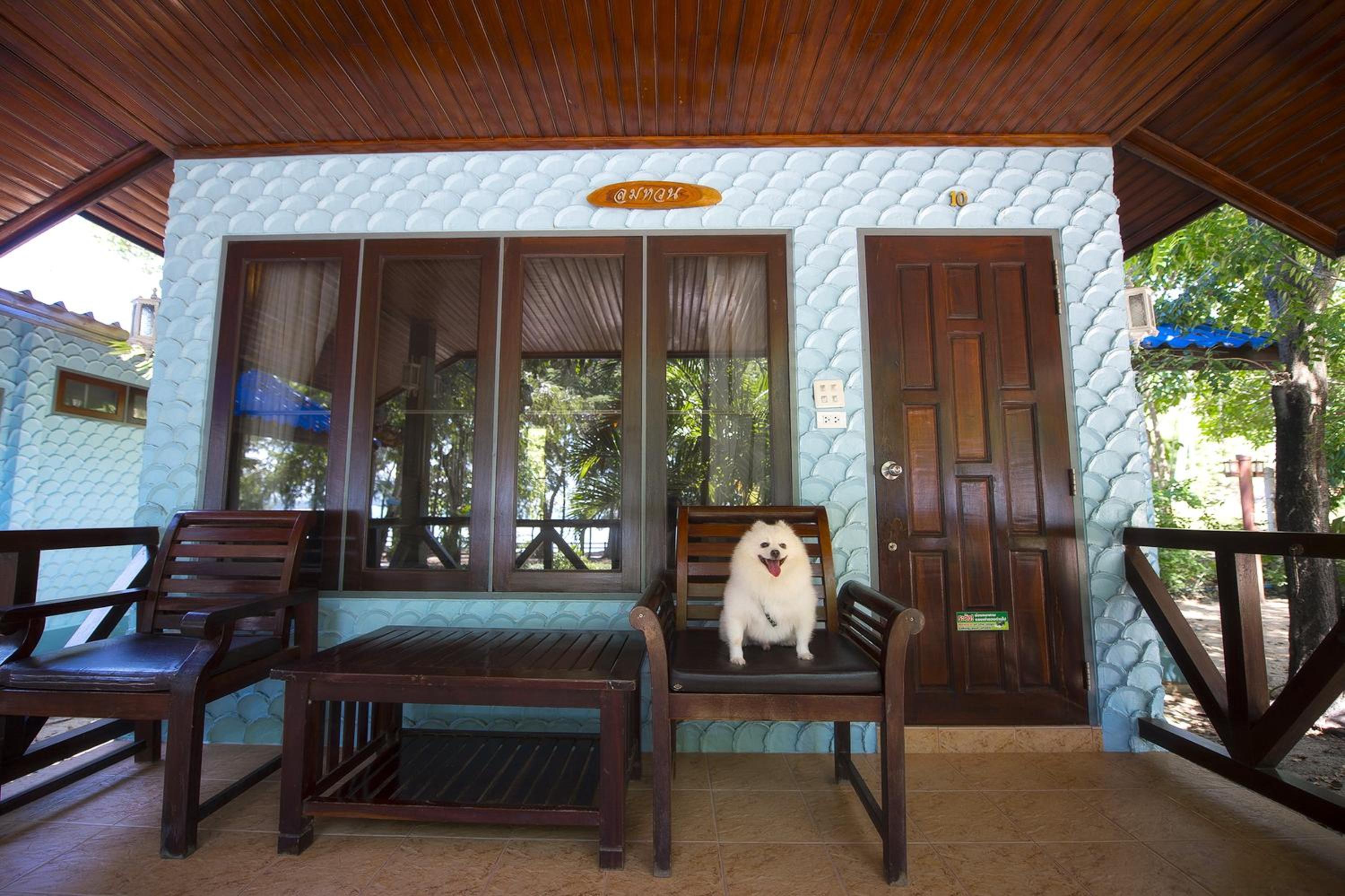 Deluxe Villa Pet Friendly