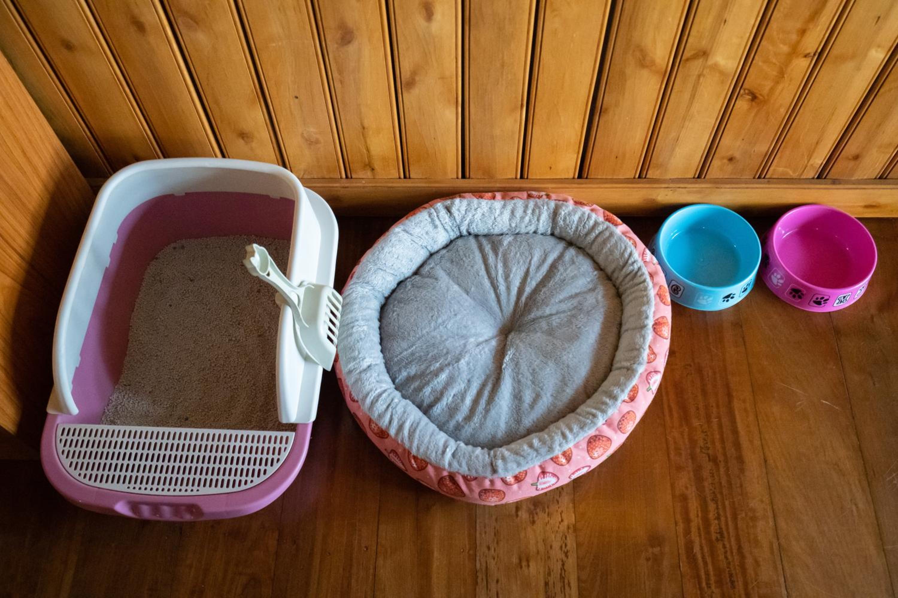 Deluxe Villa Pet Friendly