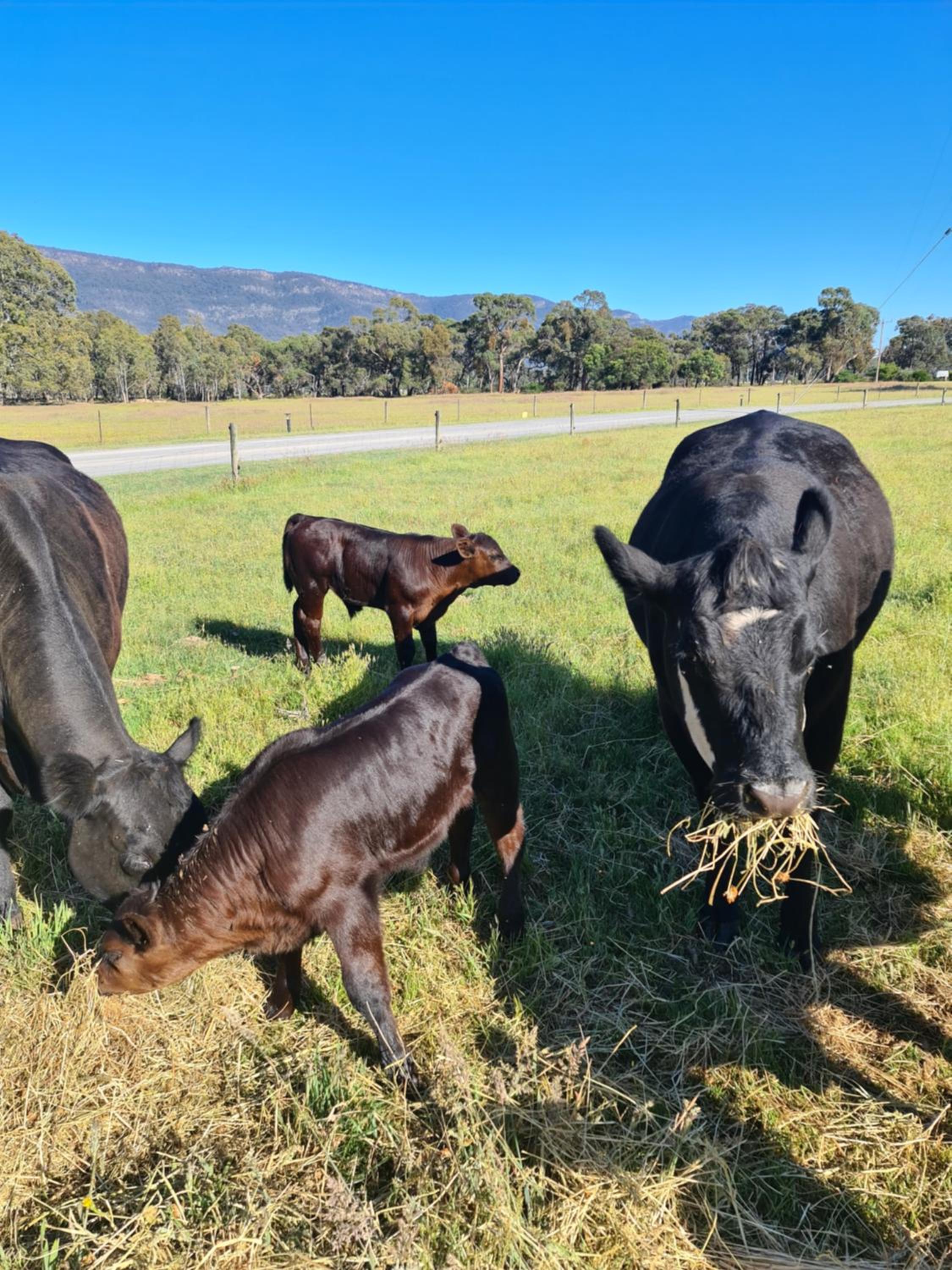 2 Bedroom Family Unit