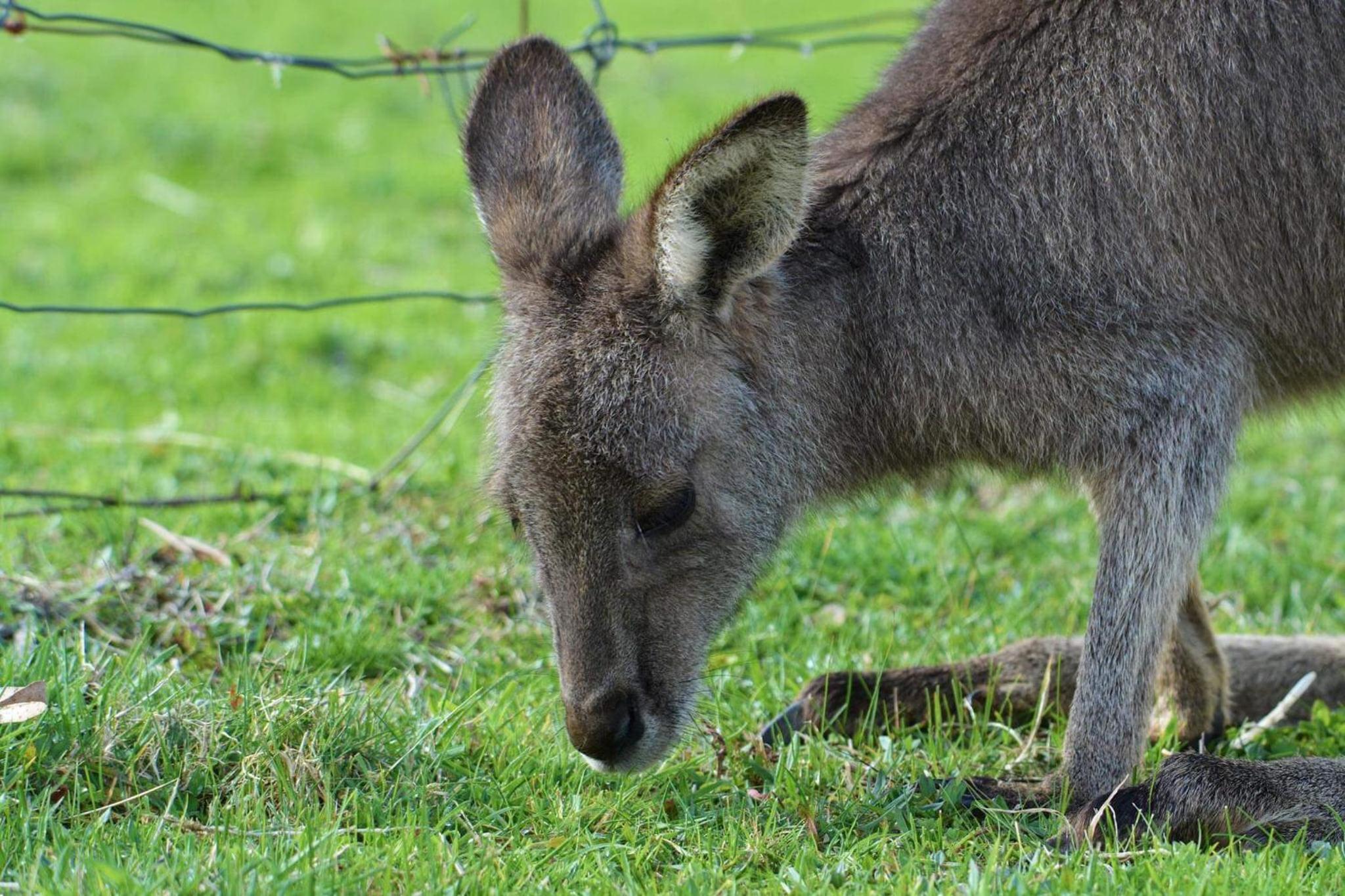 2 Bedroom Family Unit