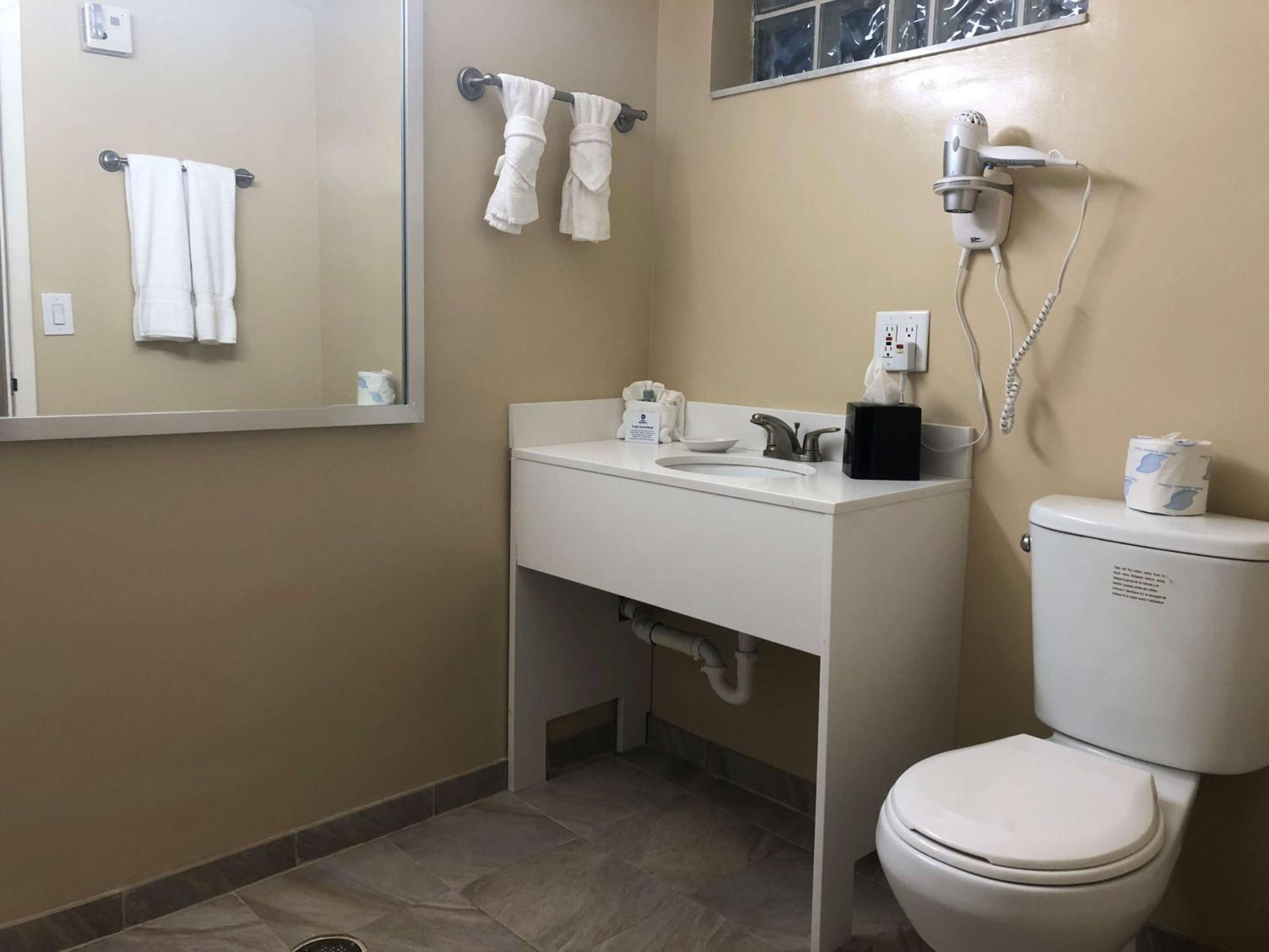 Accessible Deluxe King with Roll-in Shower