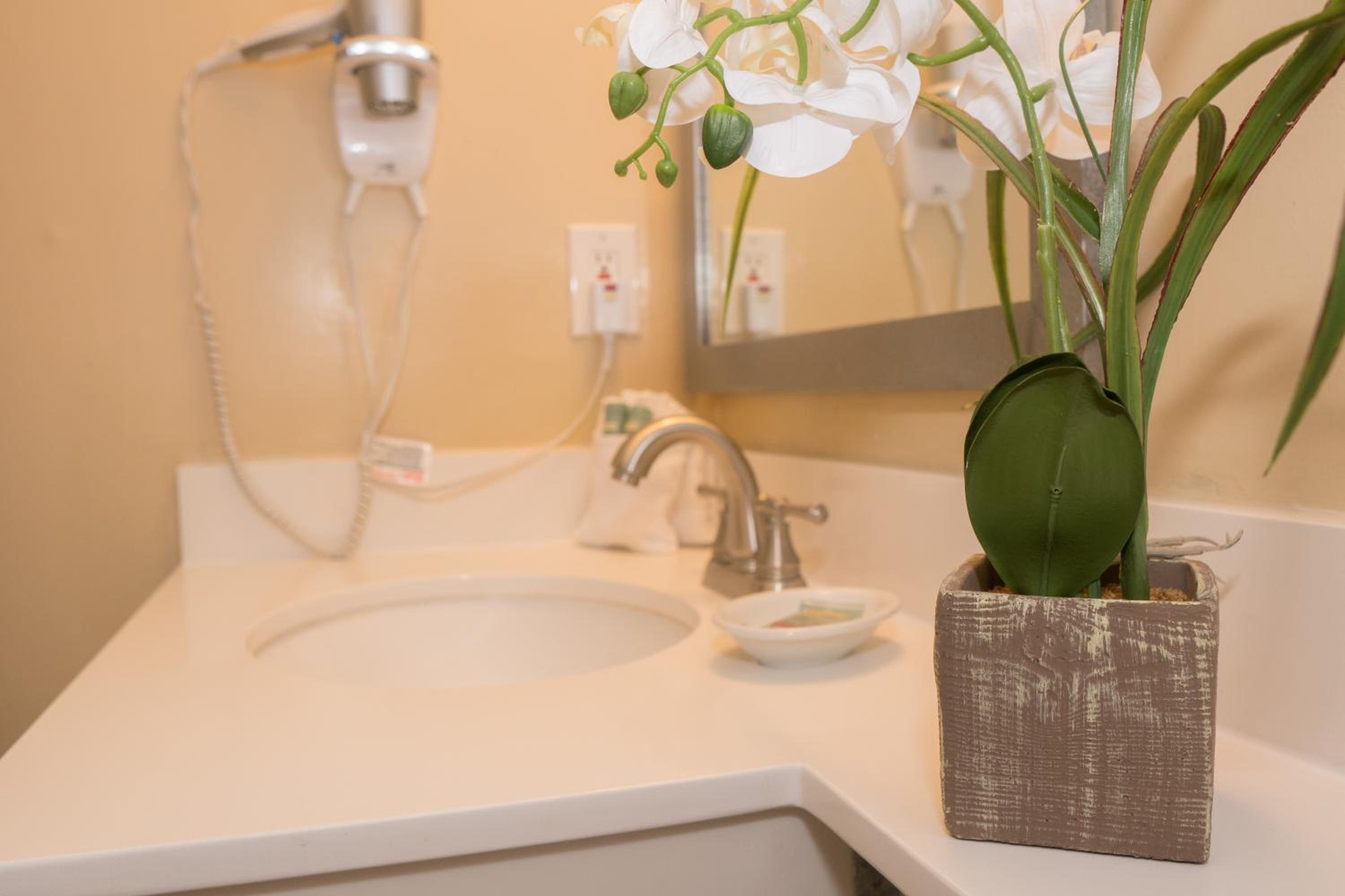 Accessible Classic Double