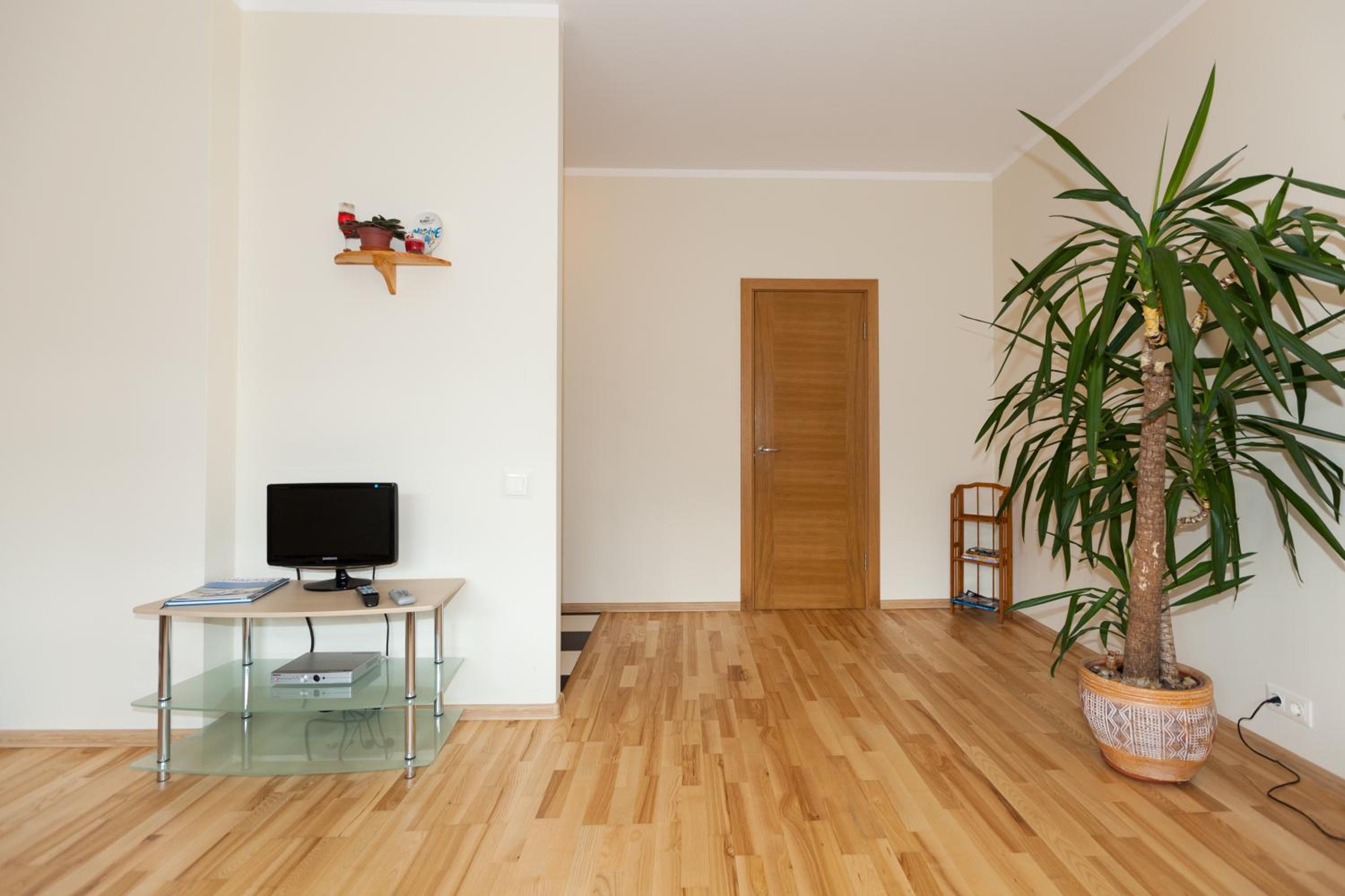 Standard Apartment 1 bedroom