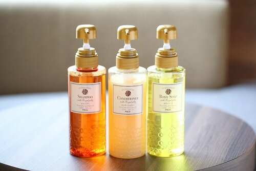 Single Room Non-Smoking в The Hedistar Hotel Narita