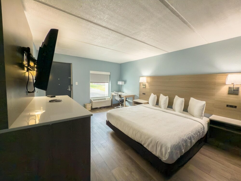 Standard Room, 1 King Bed, Accessible, Refrigerator & Microwave (Walk-in Shower)