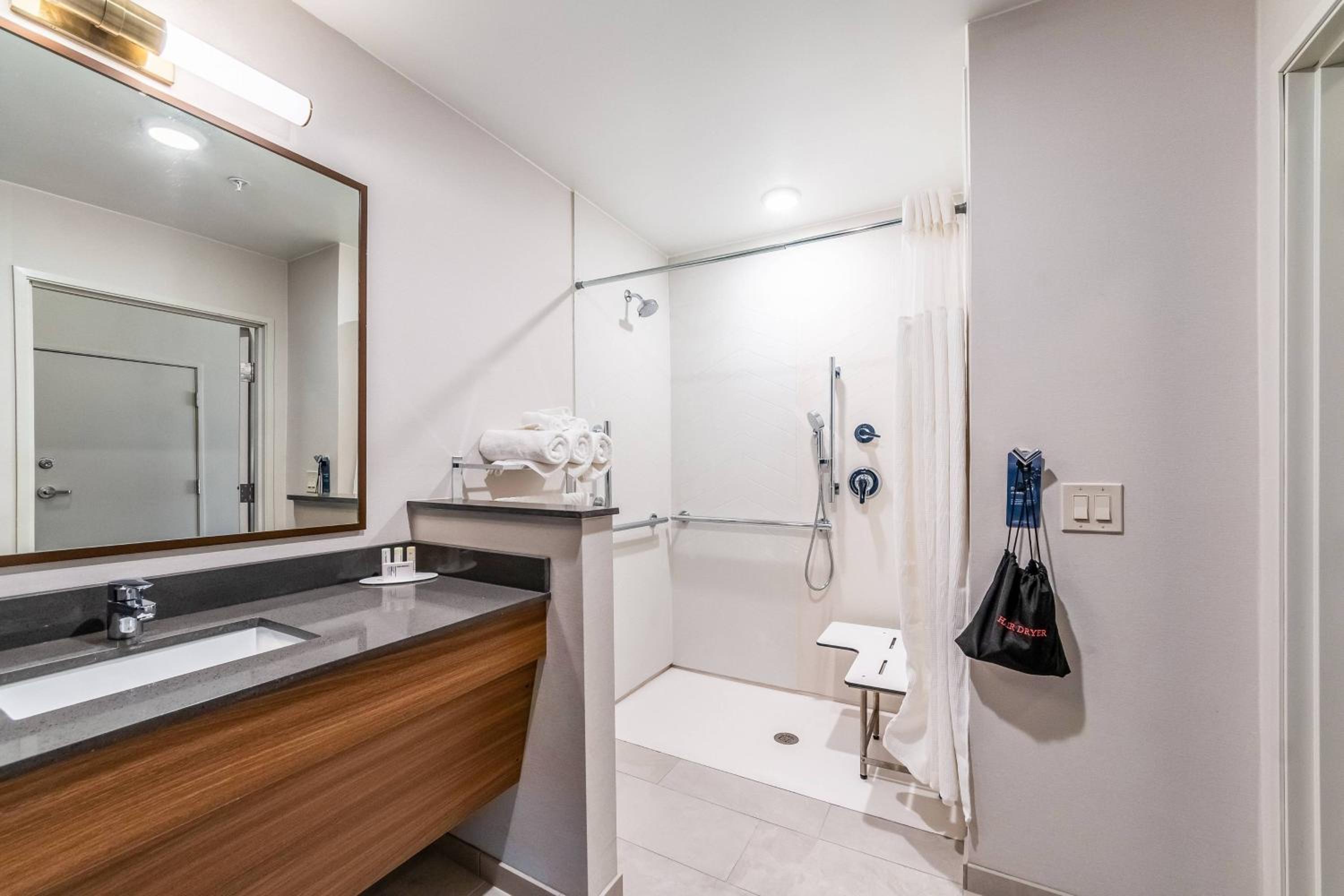Suite, 1 King, Sofa bed