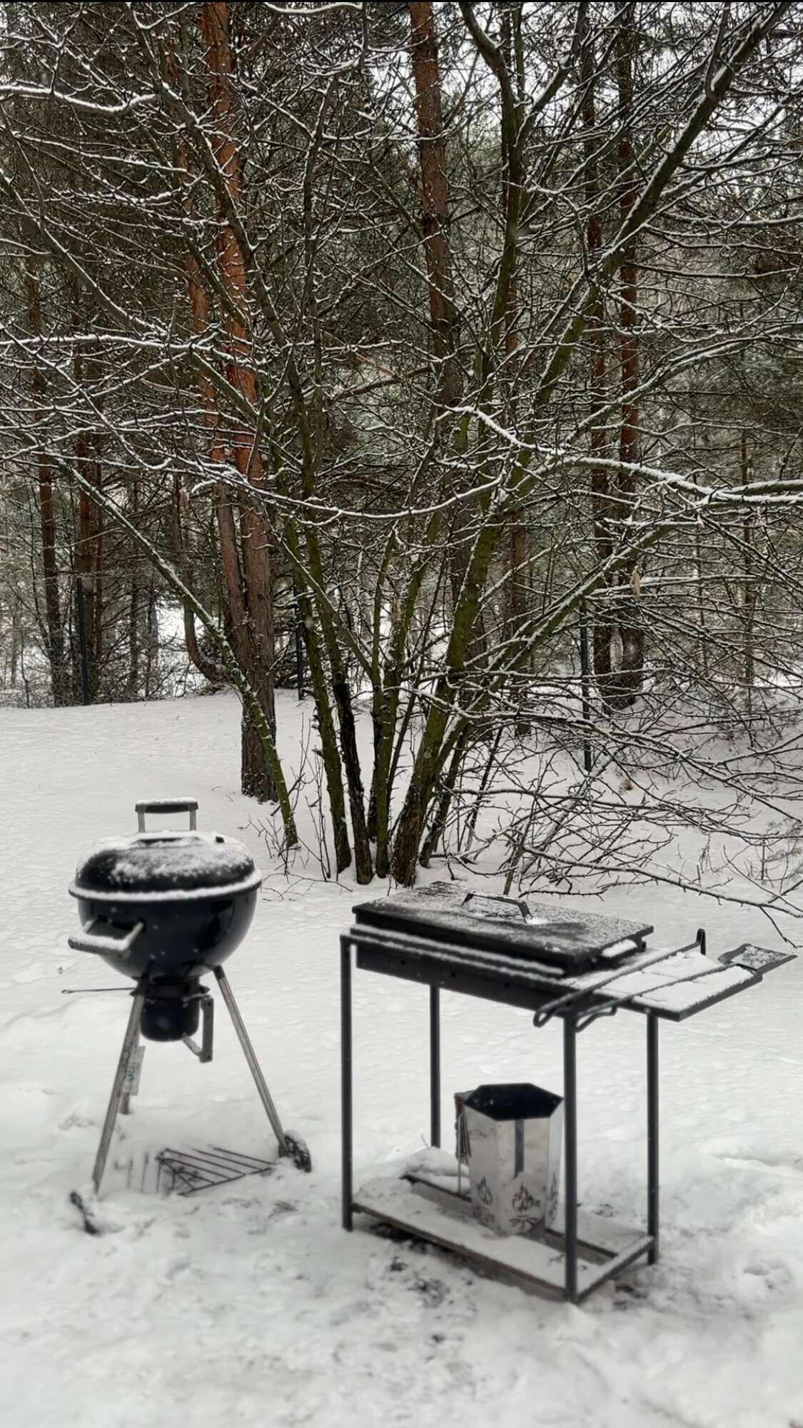 Дом с видом на лес