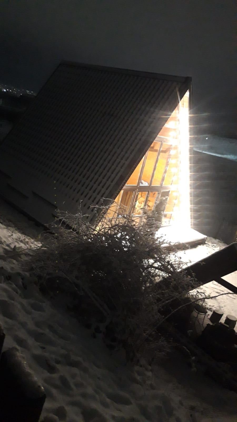 Коттедж с видом на лес