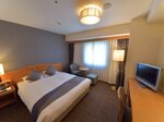 Superior Queen Double Room With Park View в Okayama Koraku Hotel