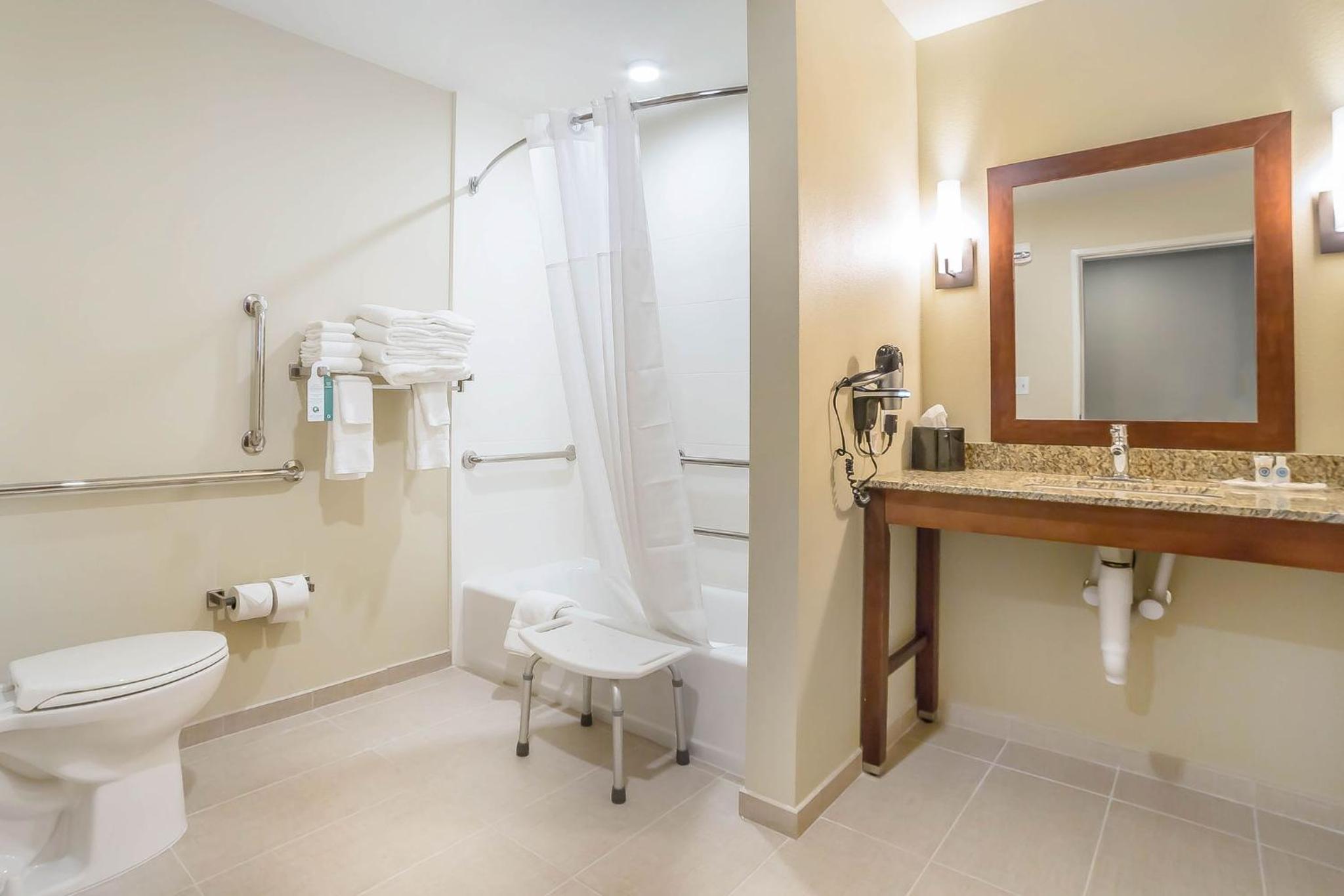 Queen Suite with Sofa Bed and Accessible Tub-Accessible/Non-Smoking