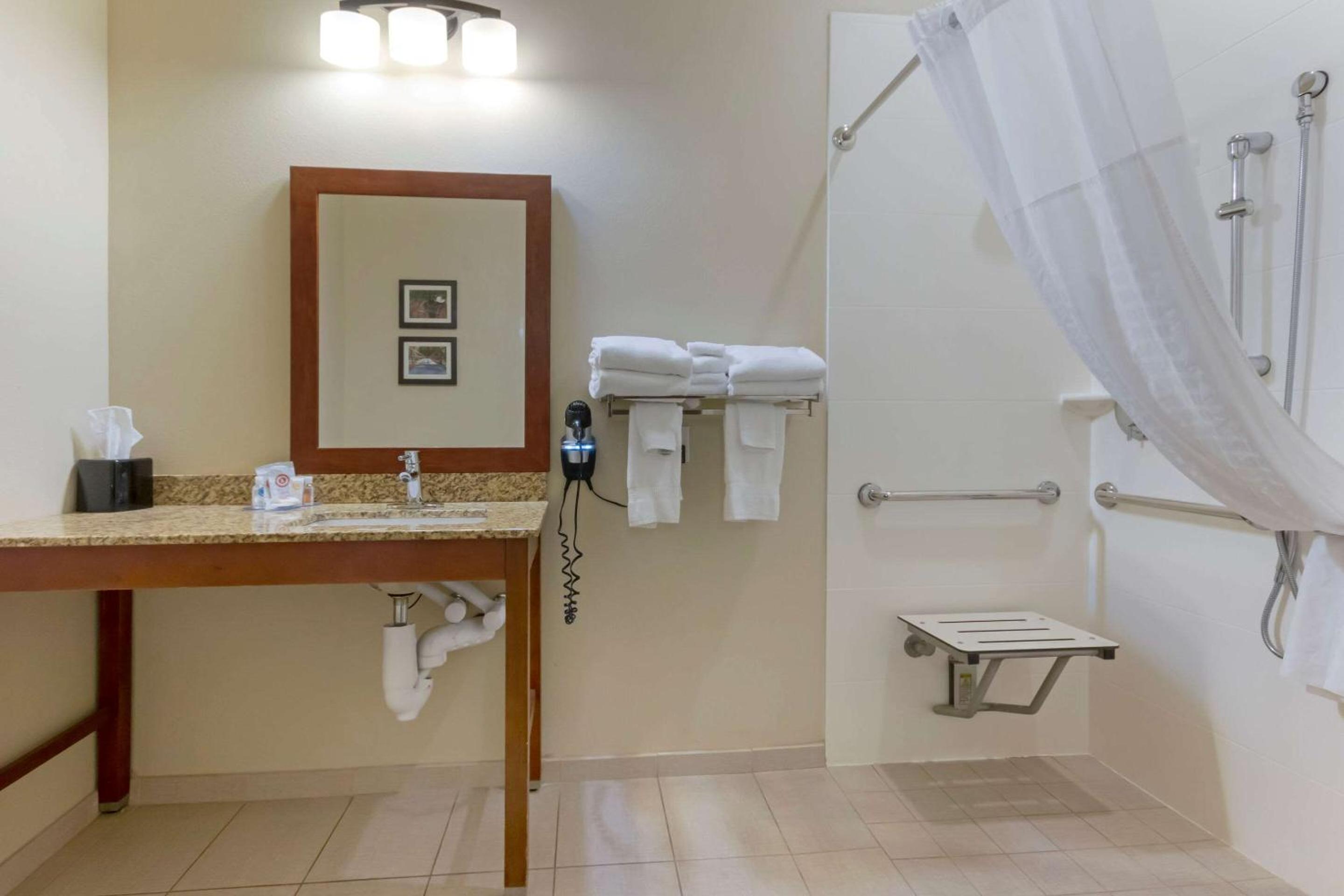 King Suite with Roll-In Shower - Accessible/Non-Smoking