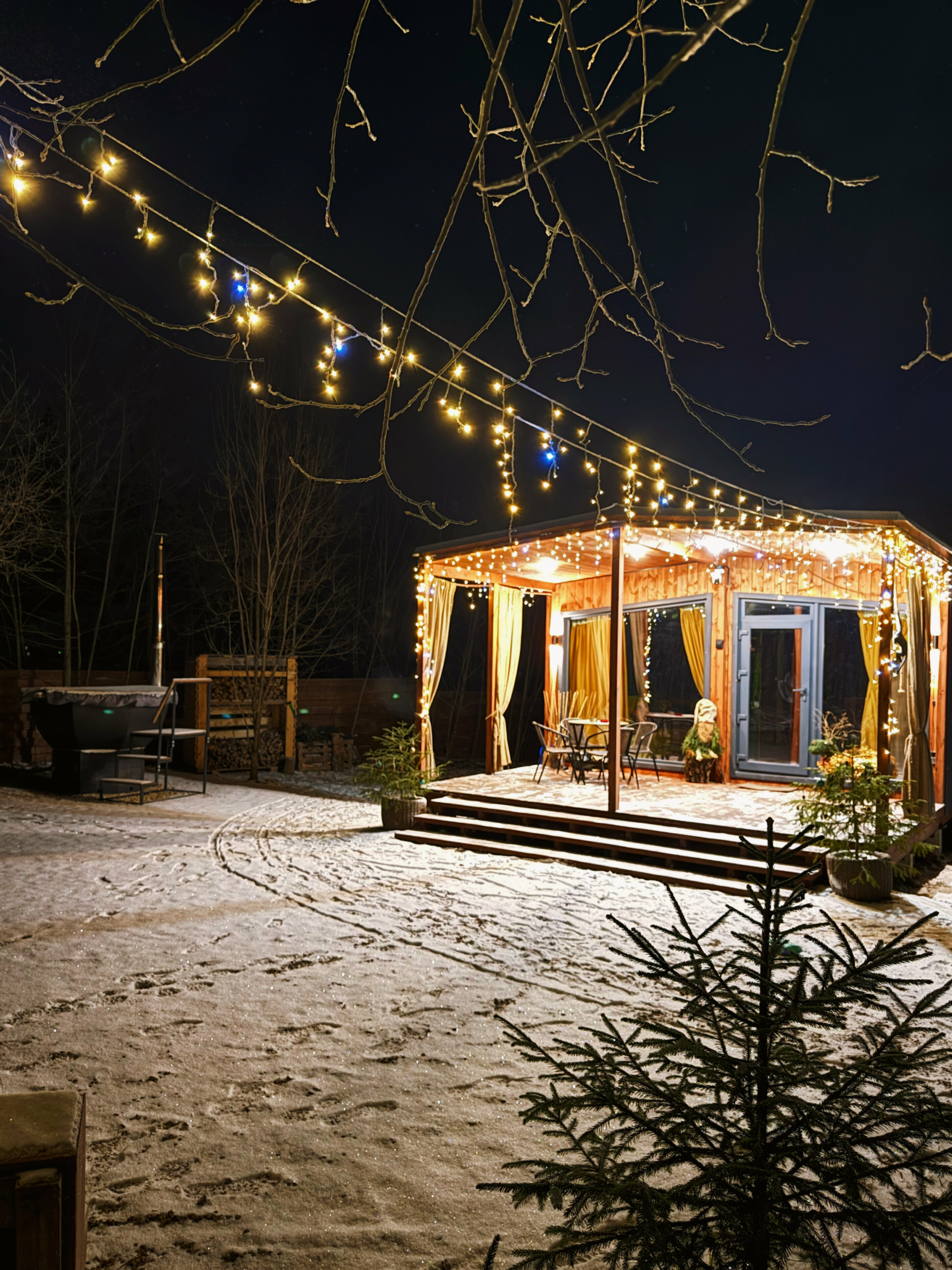 Дом с видом на лес