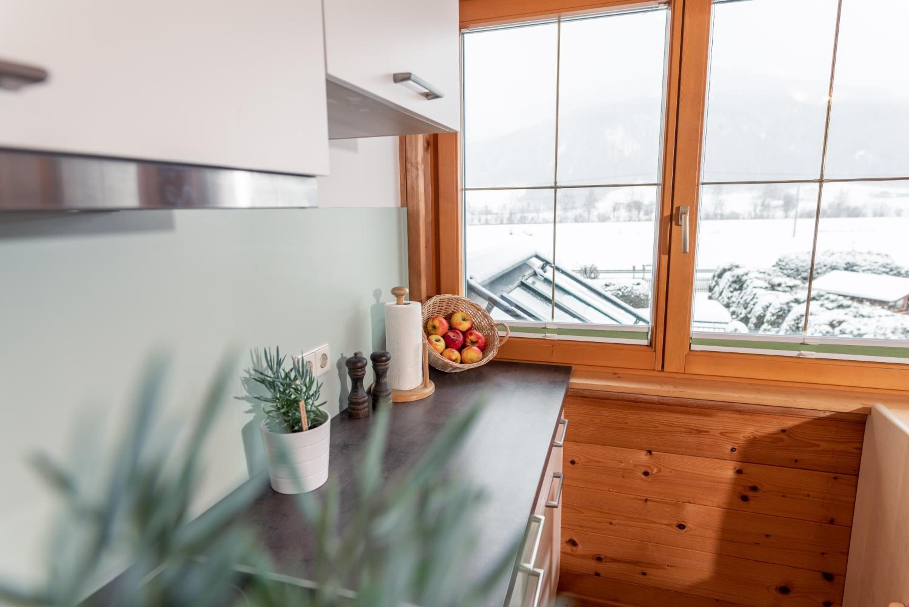 Apartment with Mountain View