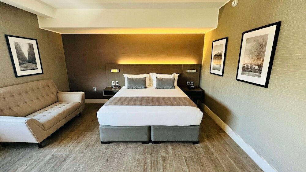 Studio Suite, 1 King Bed, Non Smoking