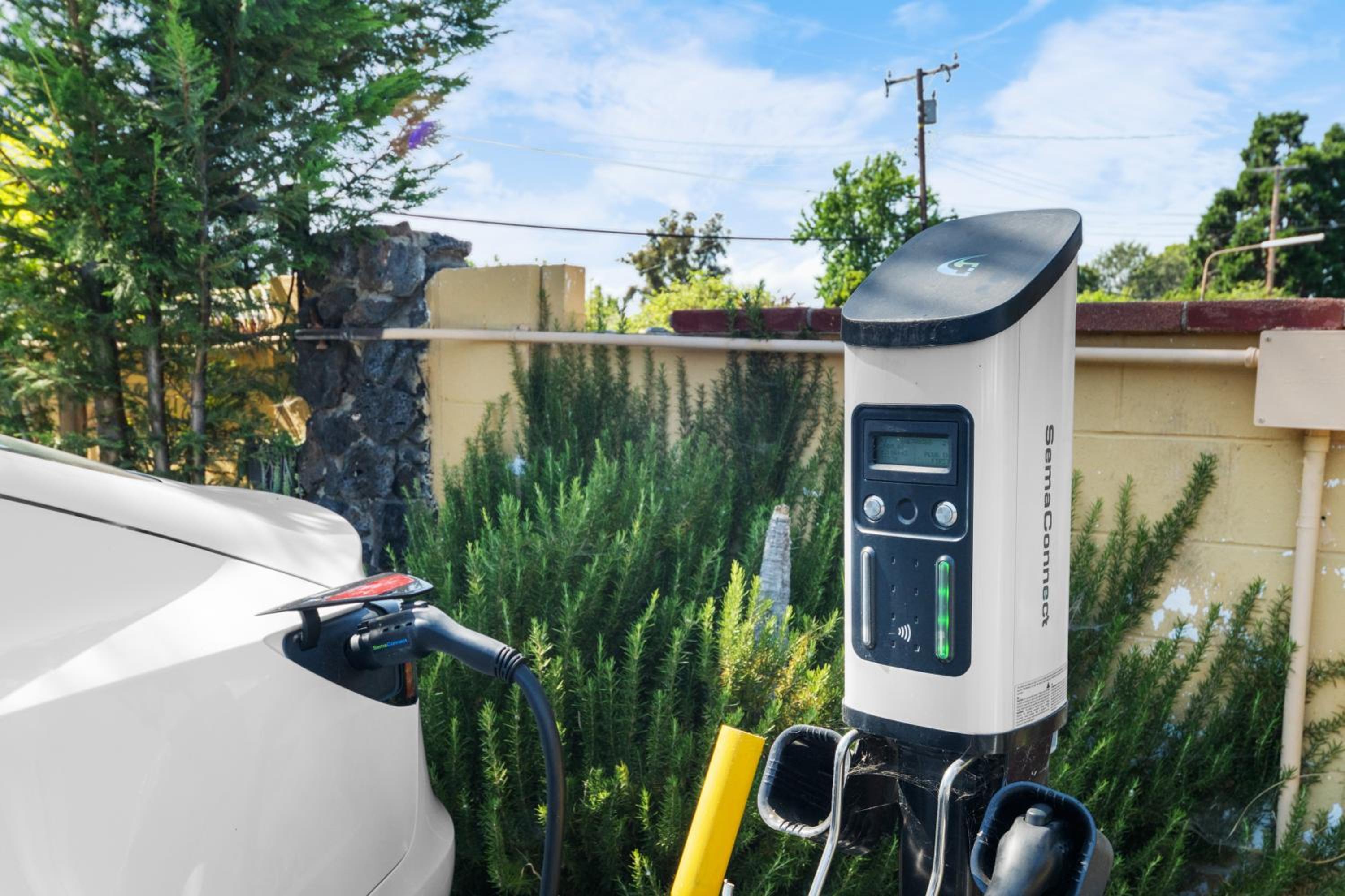 Executive Double Suite