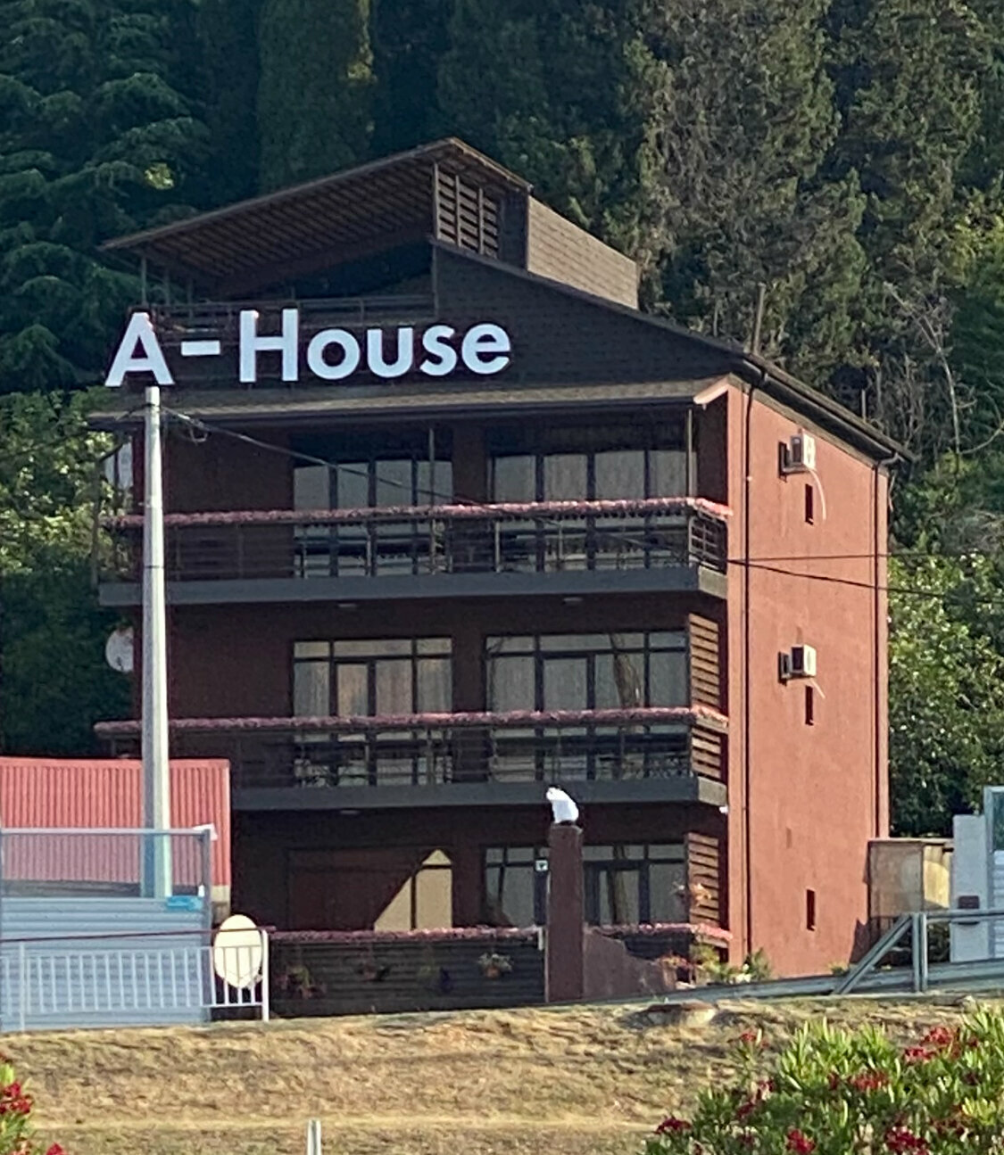 Двухместный номер с видом на перрон аэропорта