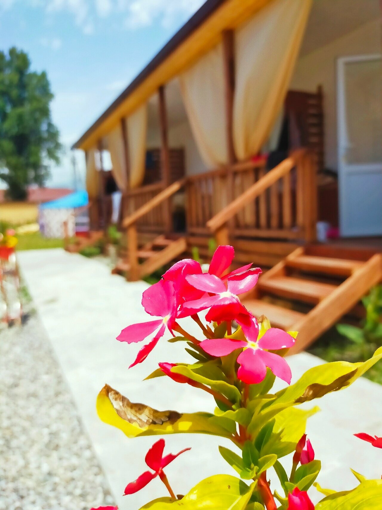 Стандартный четырехместный номер