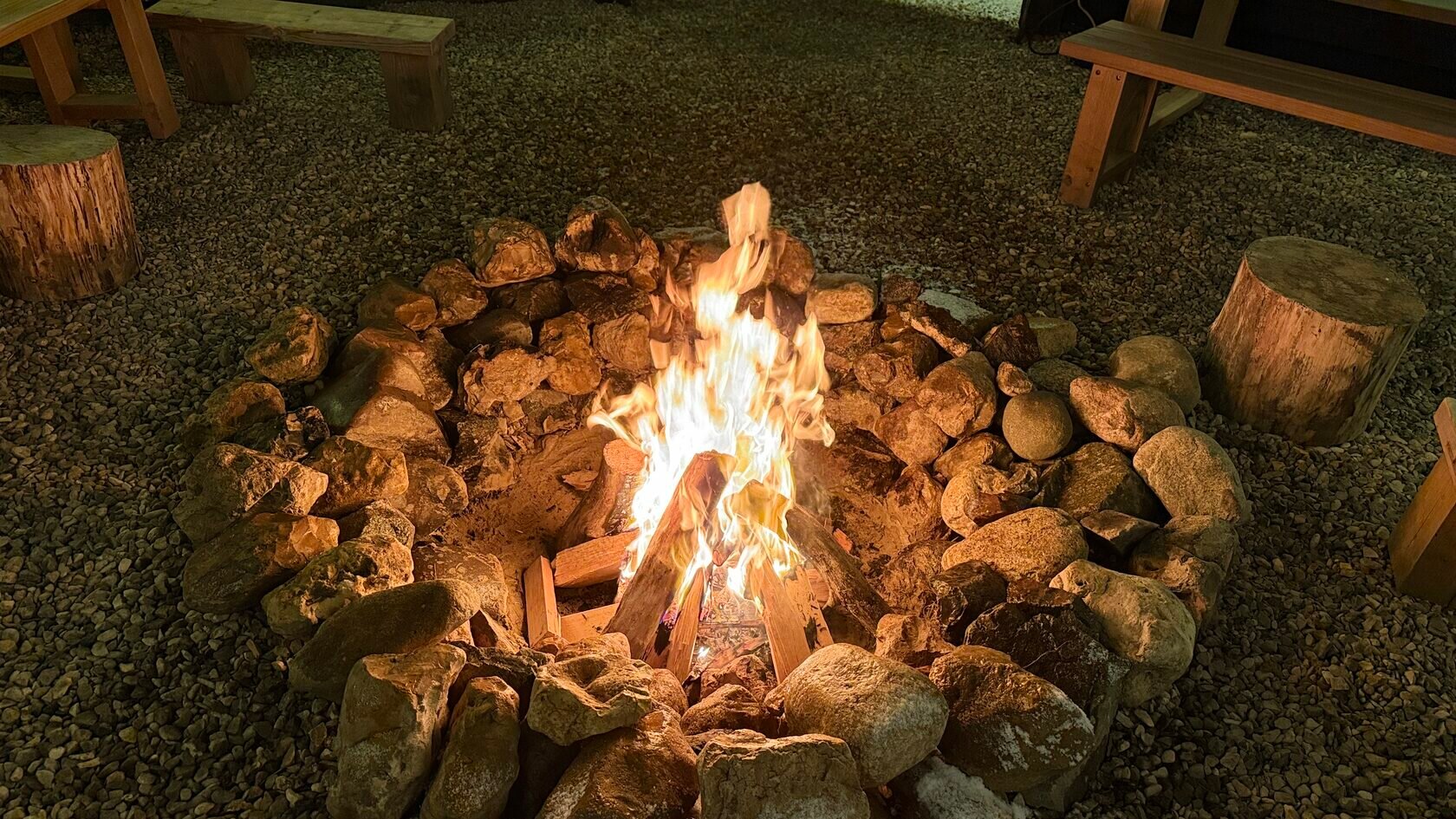 Дом для проживания с питомцами