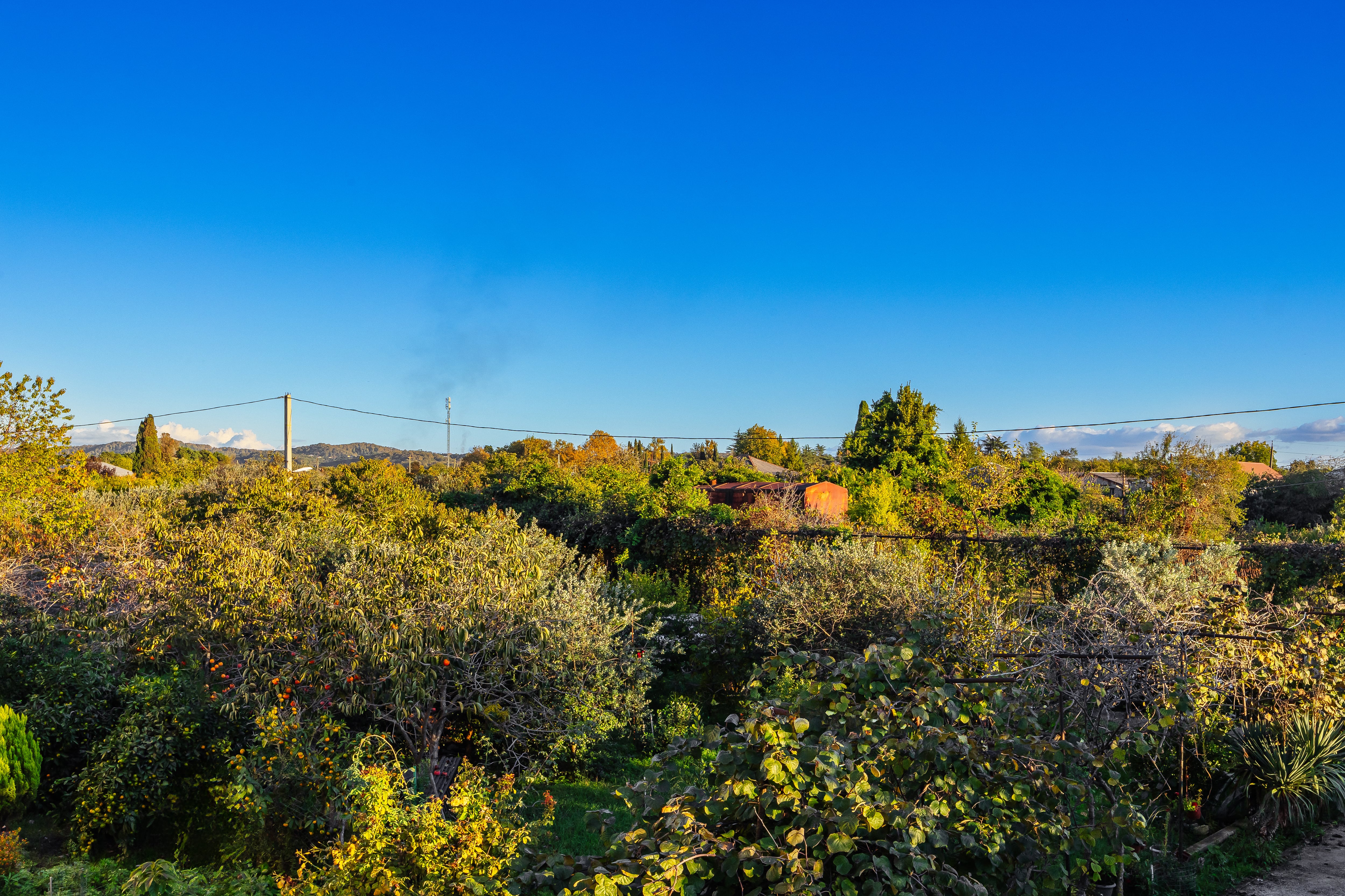 Четырехместный номер с душем