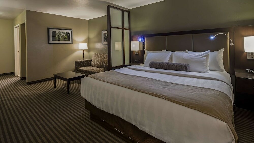 Executive Room, 1 King Bed with Sofa bed, Non Smoking, Refrigerator & Microwave (with Sofabed)