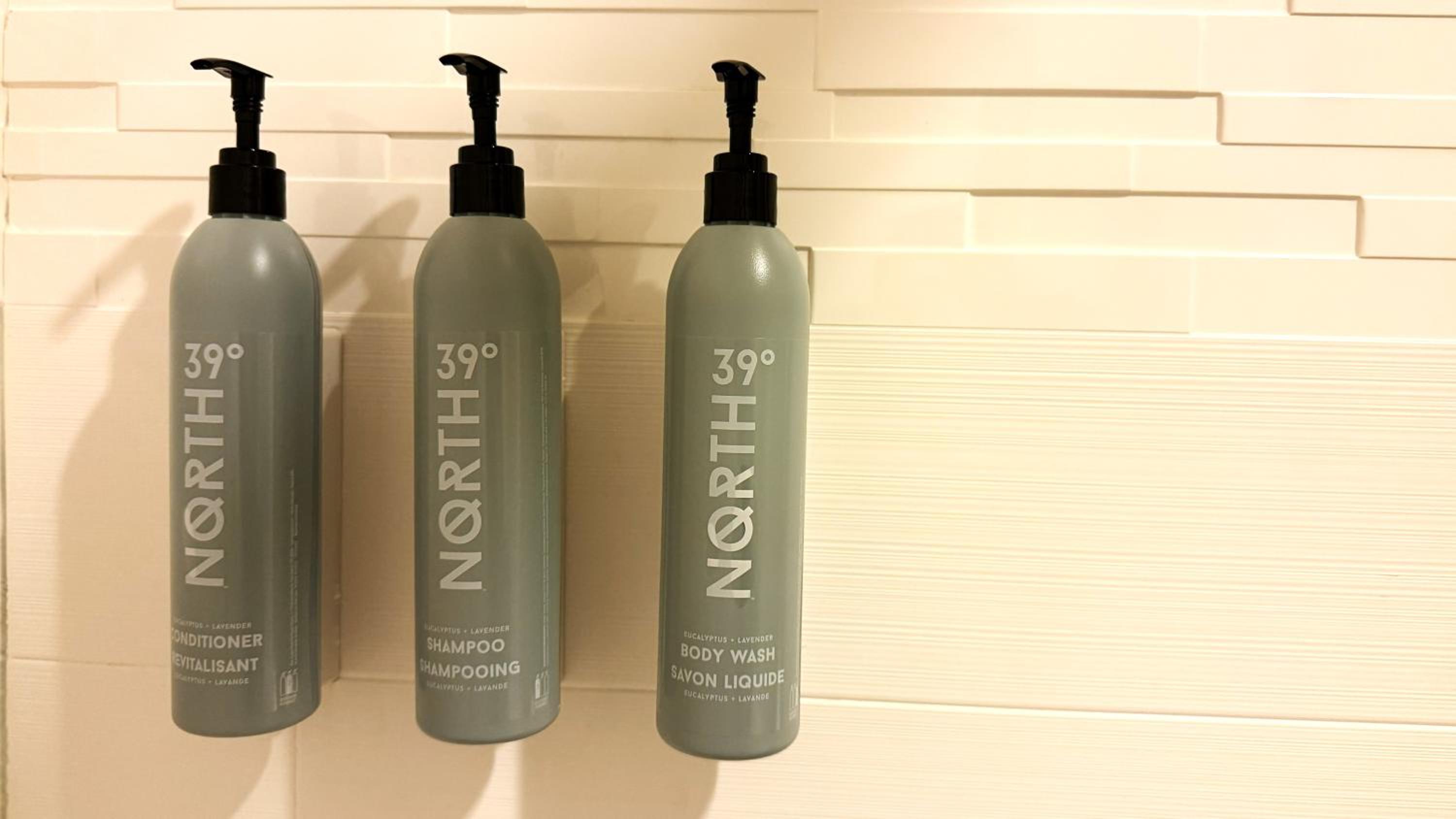 Pure Wellness King Room with Sofa Bed