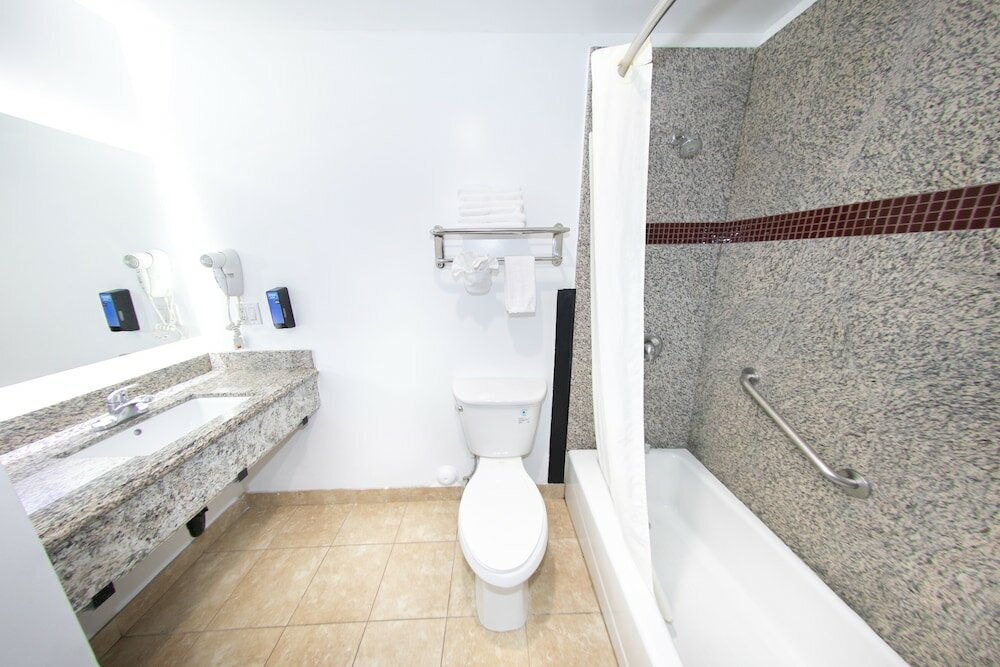 Basic Suite, 1 King Bed