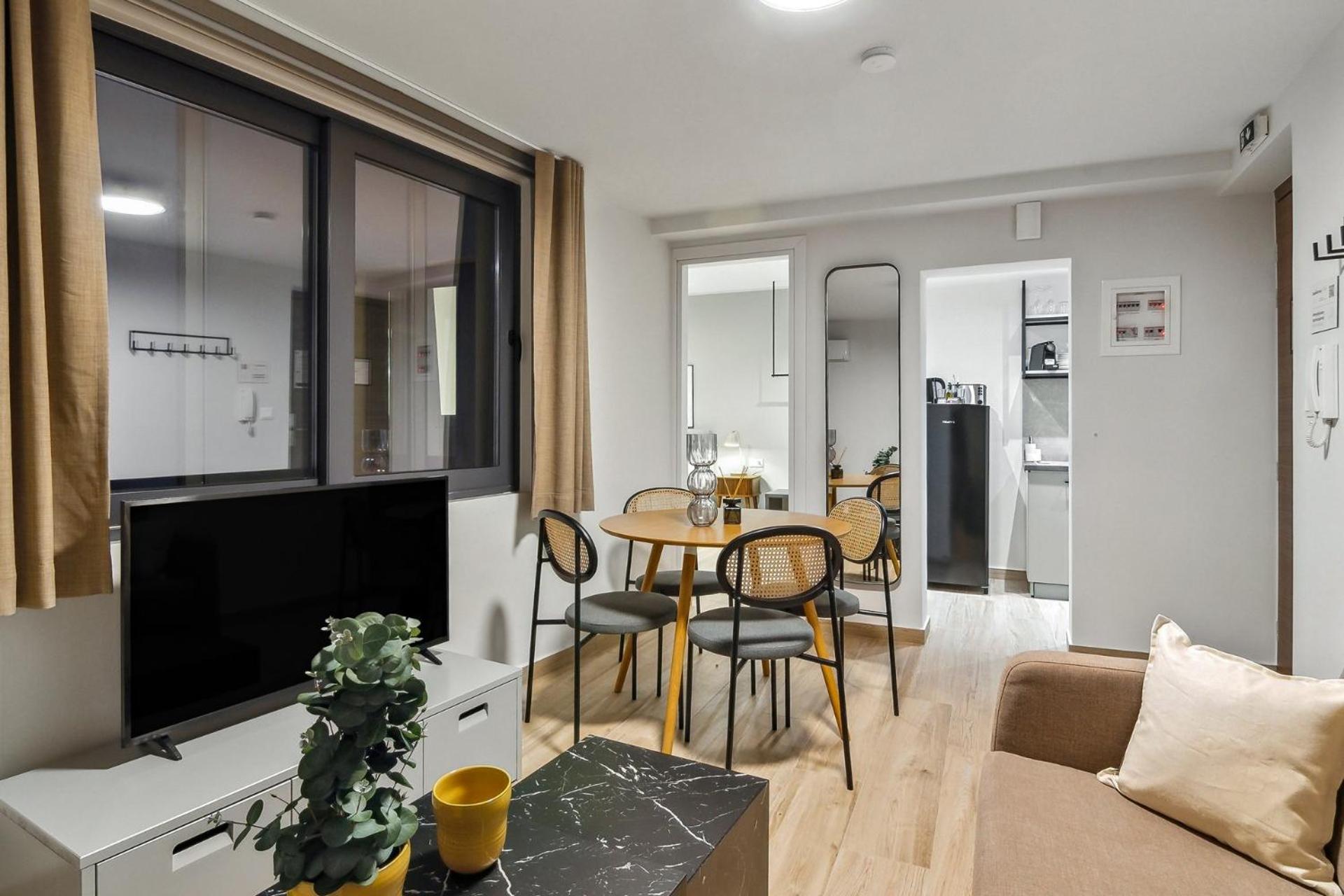 One-Bedroom Apartment with sofa bed