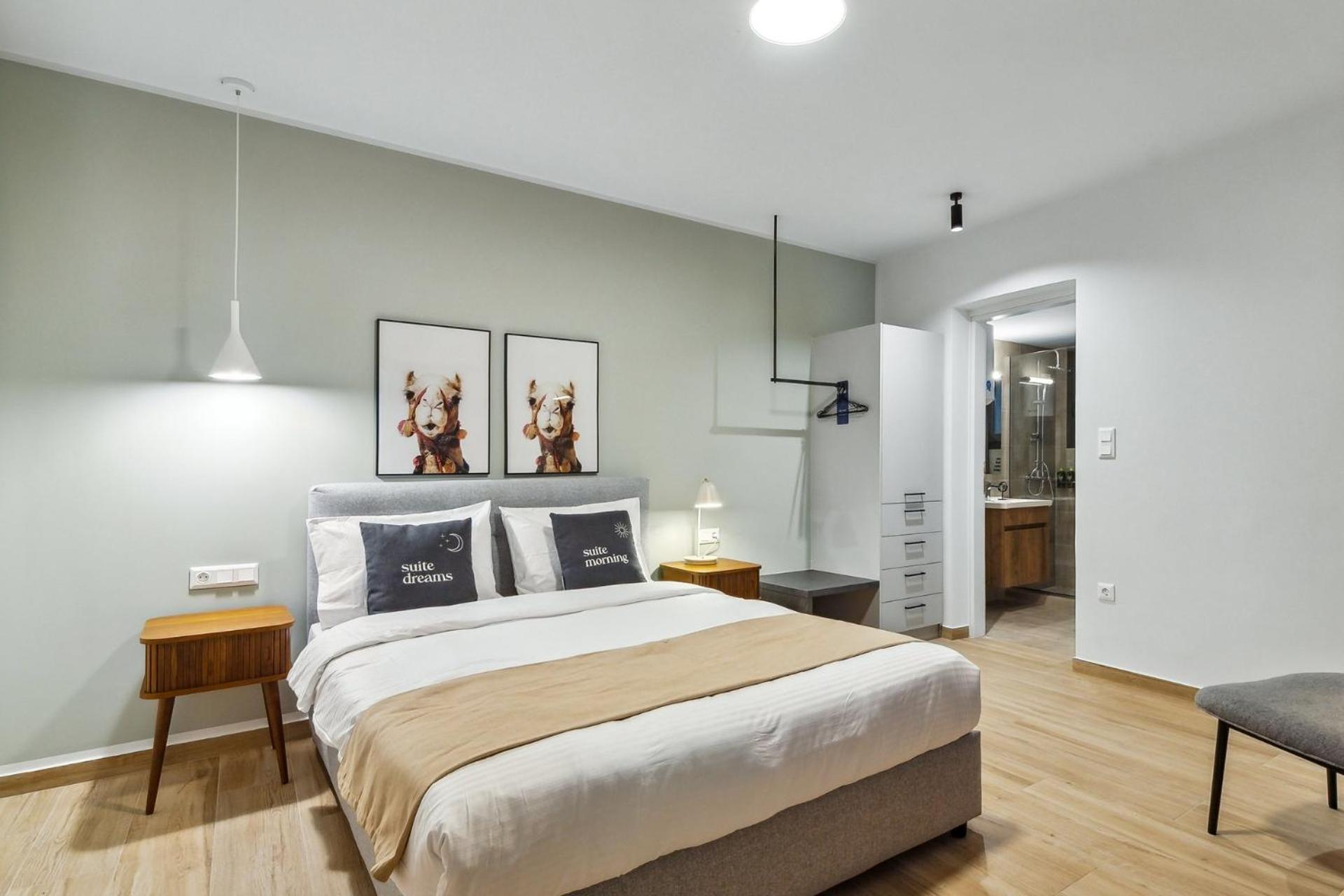 One-Bedroom Apartment with sofa bed