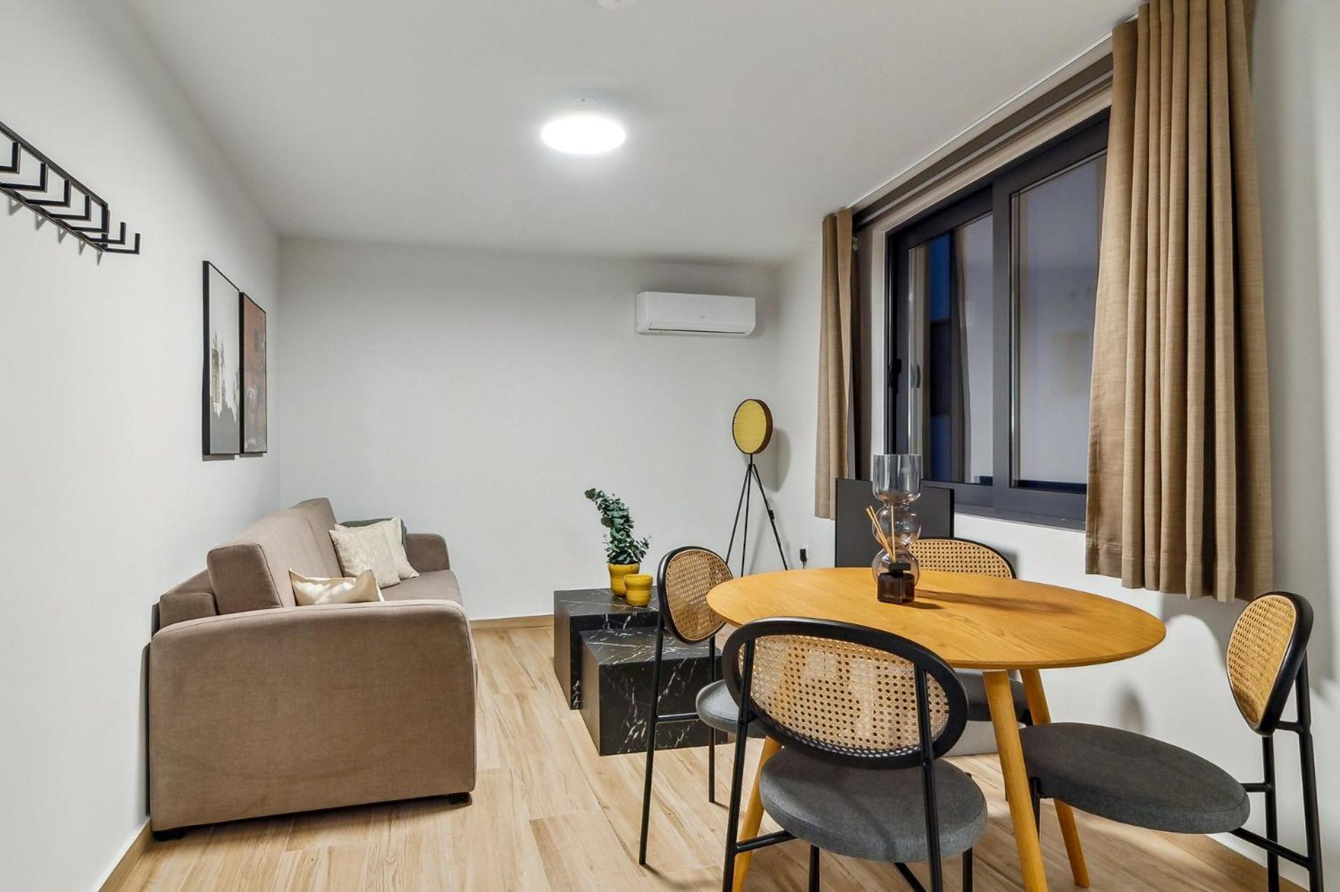 One-Bedroom Apartment with sofa bed