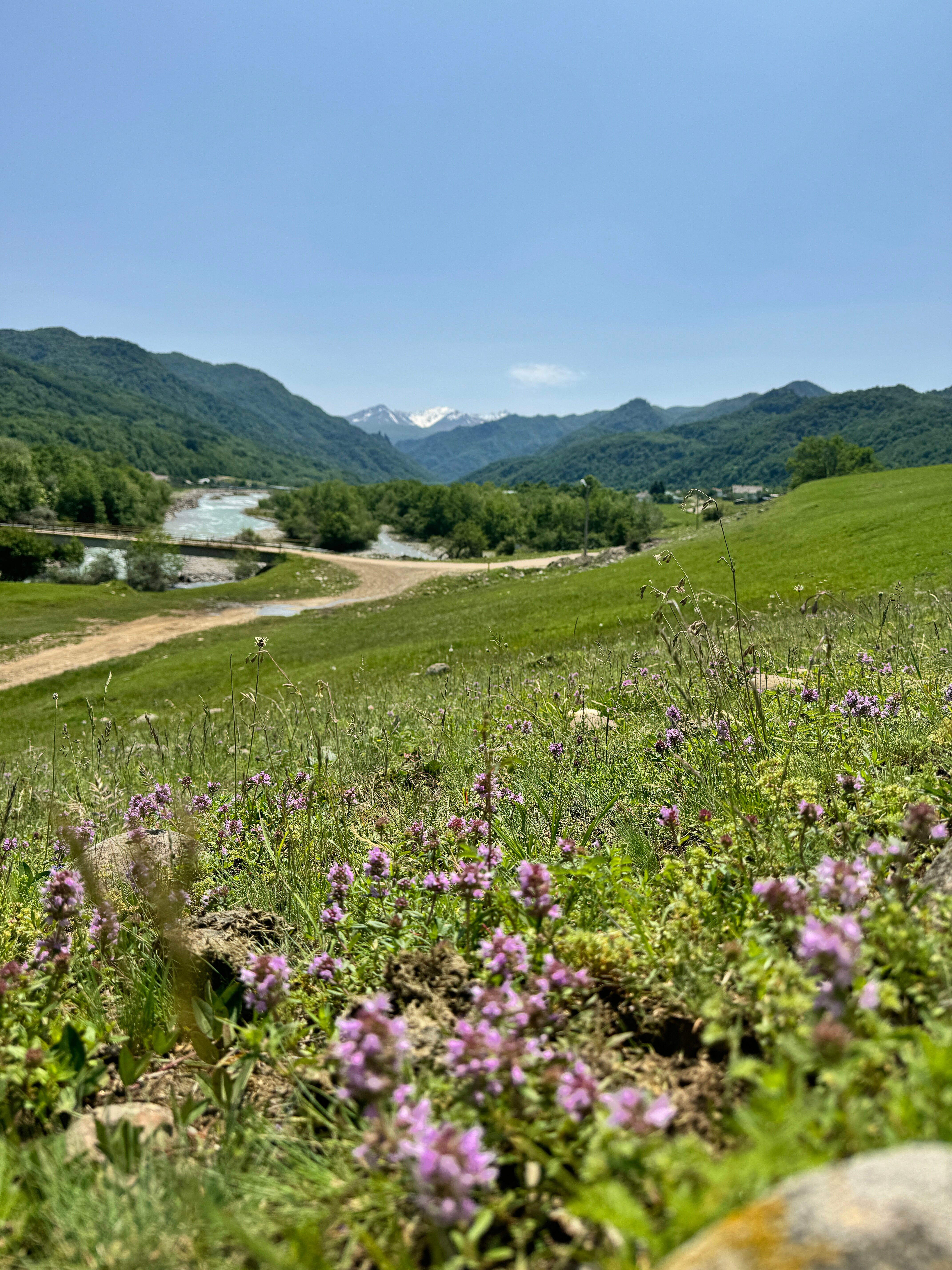 Пентхаус с видом на горы