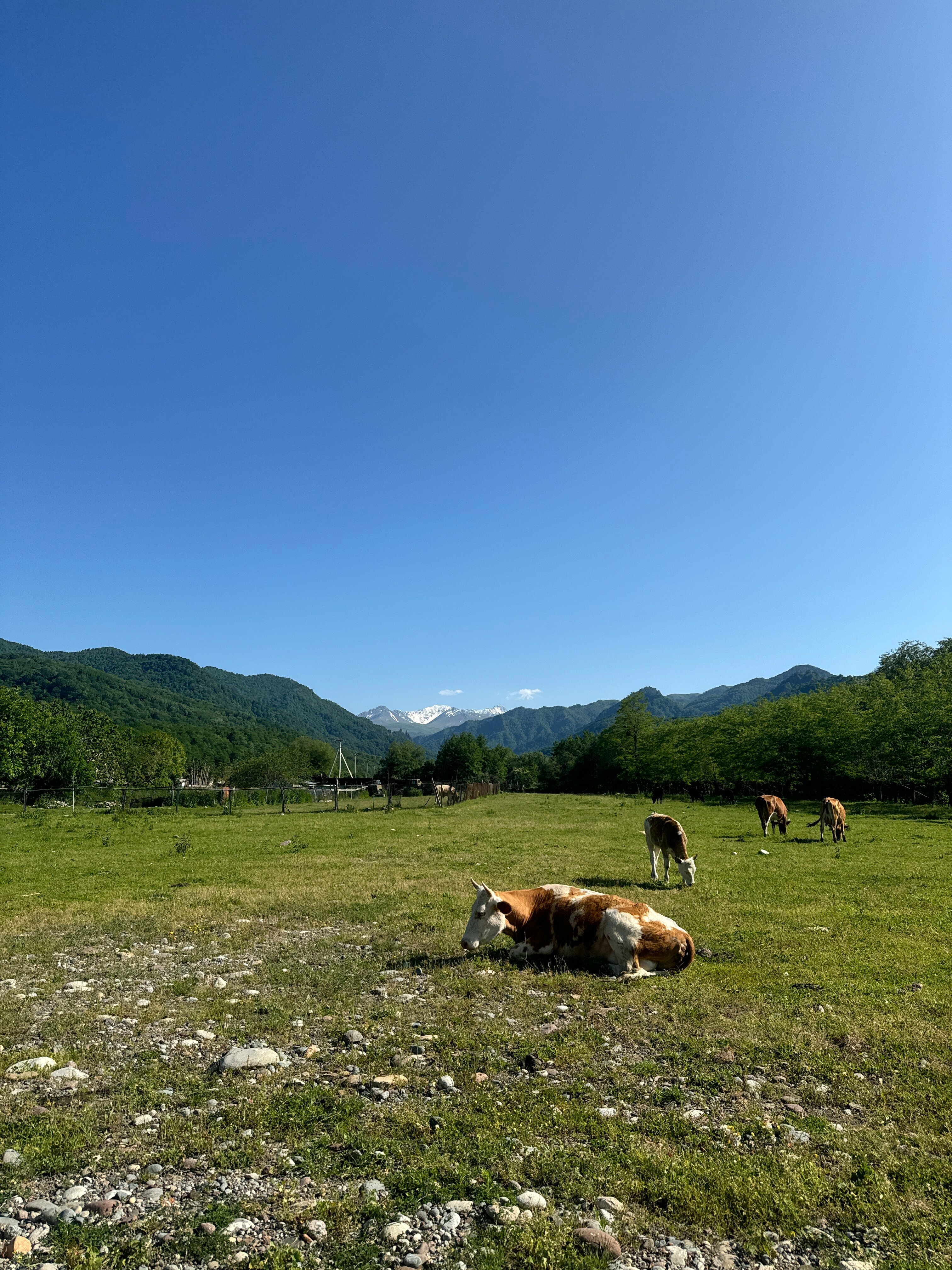 Пентхаус с видом на горы