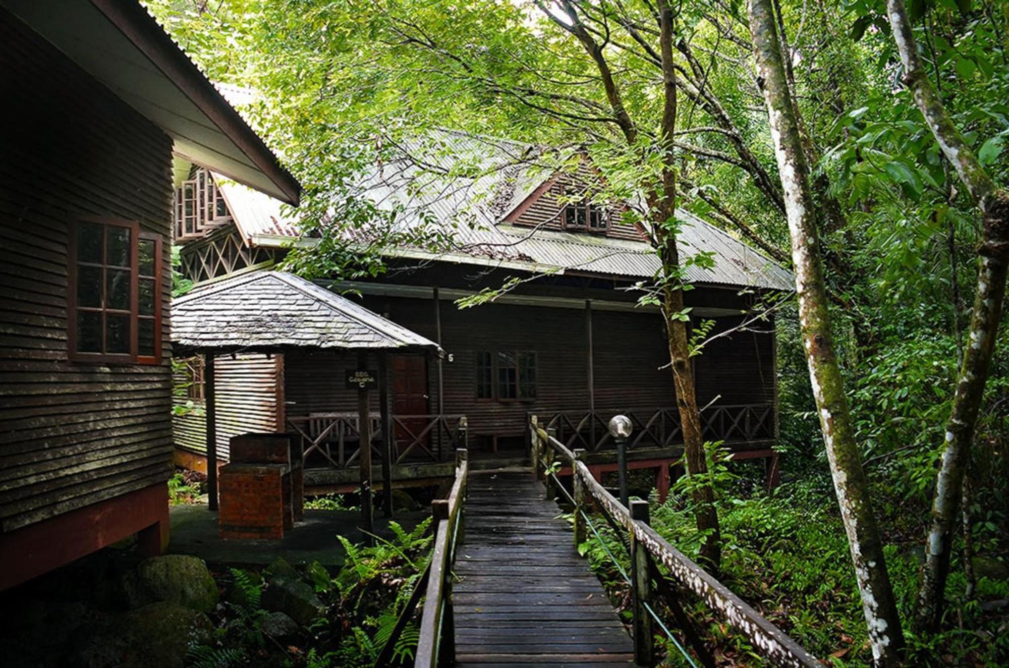 The Big Family Villa