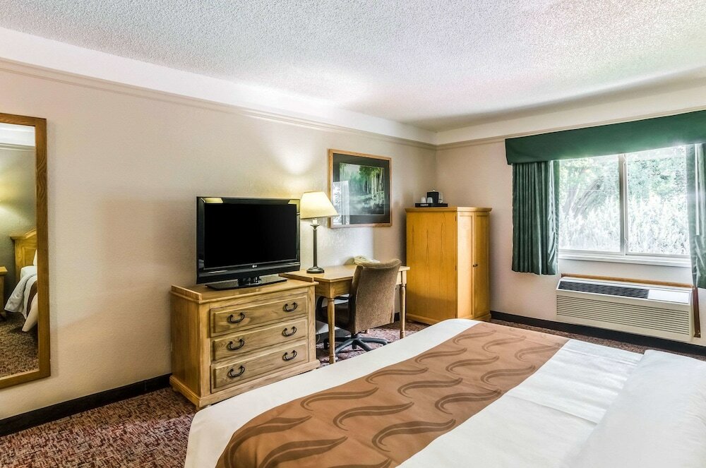 Standard Room, 1 King Bed, Non Smoking