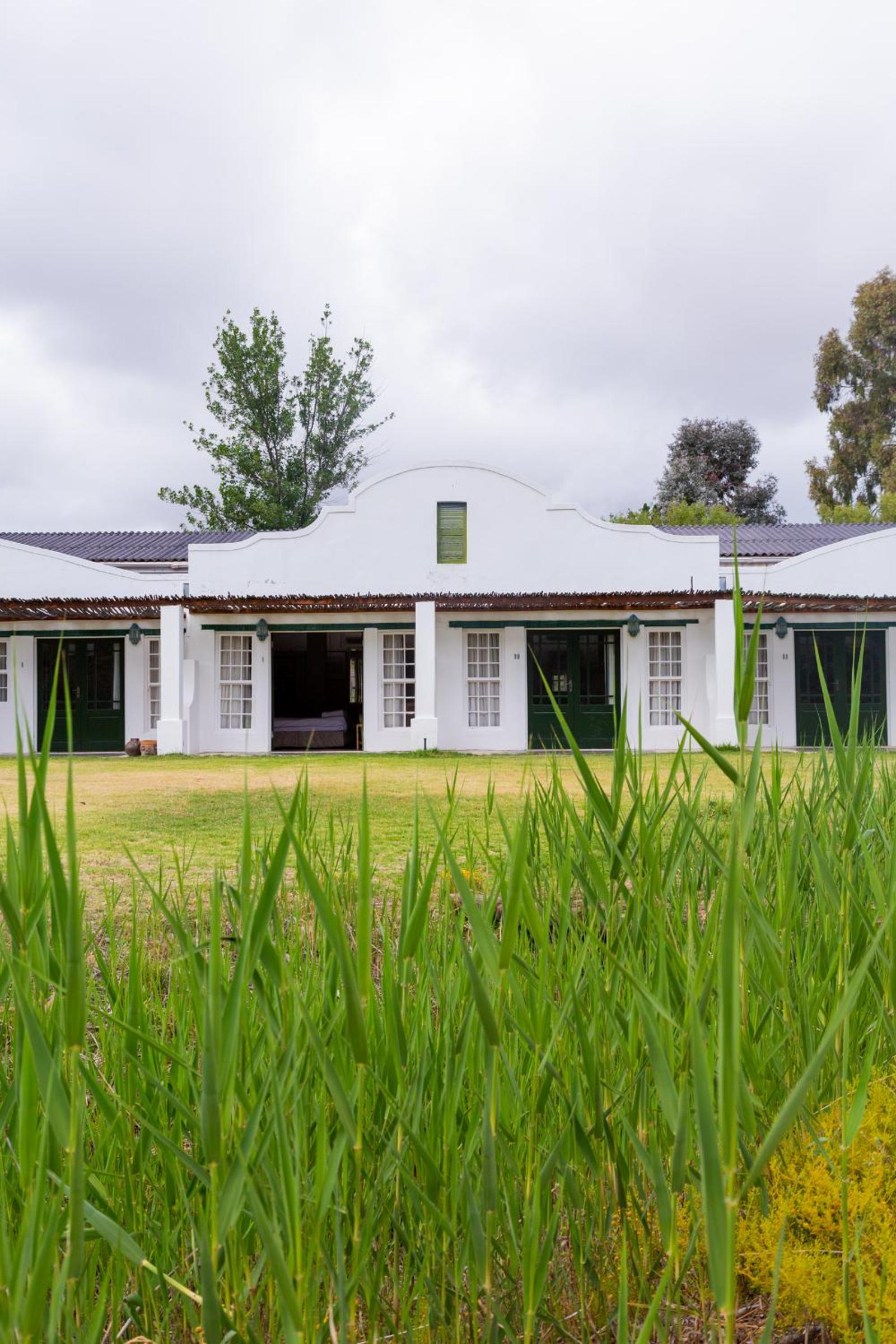 Standard Mountain View -Twin or Double