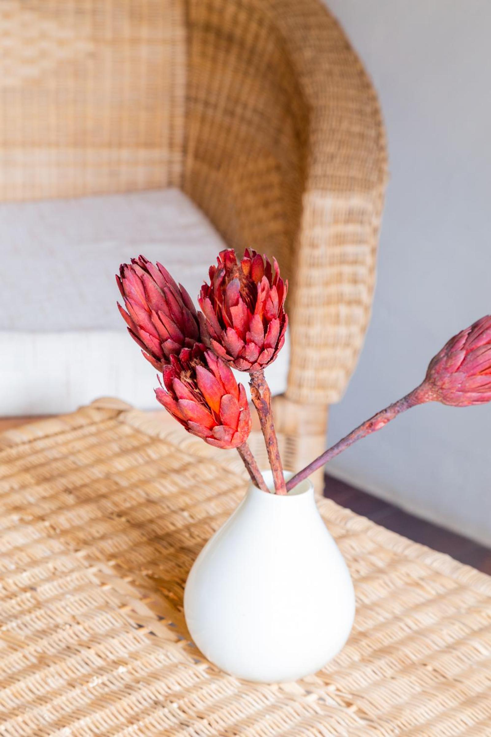 Standard Mountain View -Twin or Double