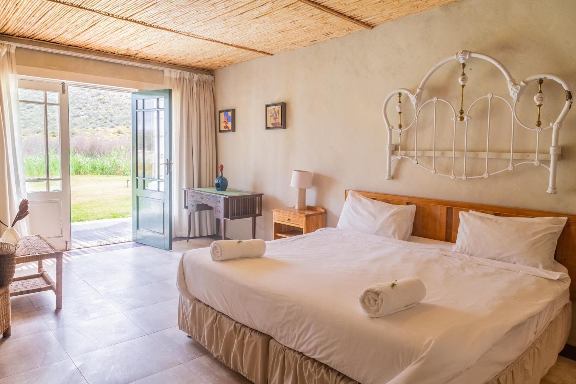 Standard Mountain View -Twin or Double