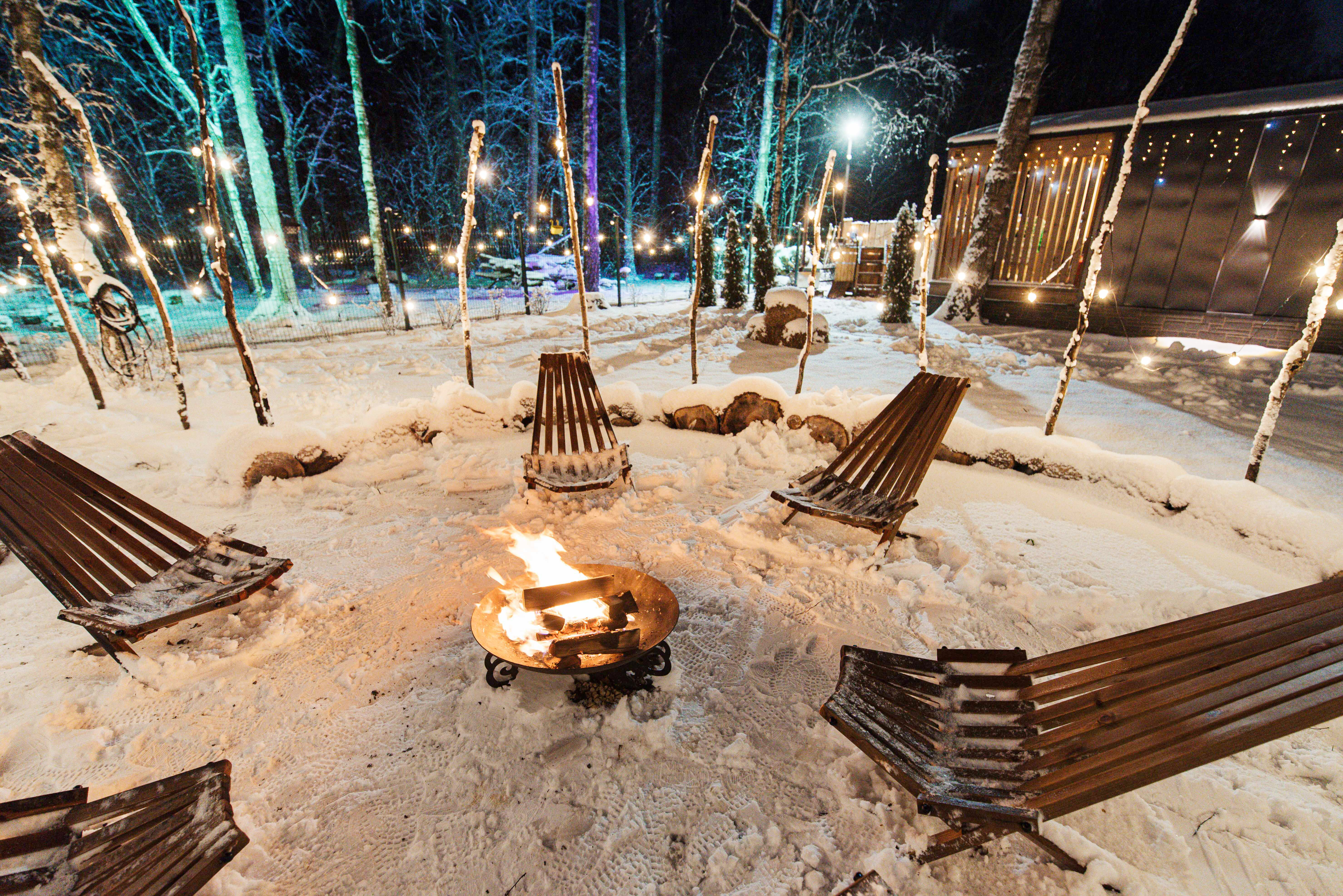 Дом с видом на лес