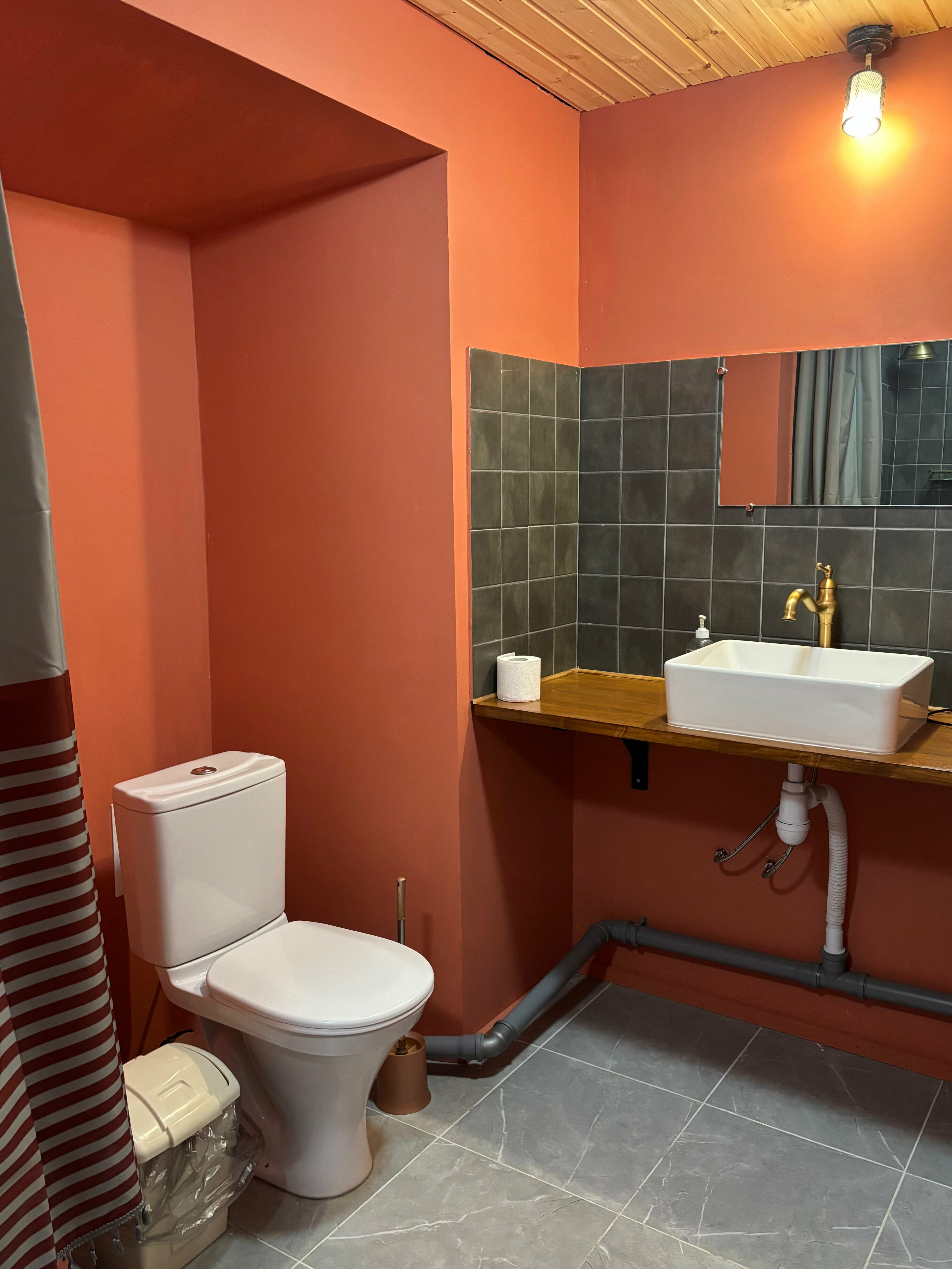 Двухместный номер с 1 кроватью и собственной ванной комнатой